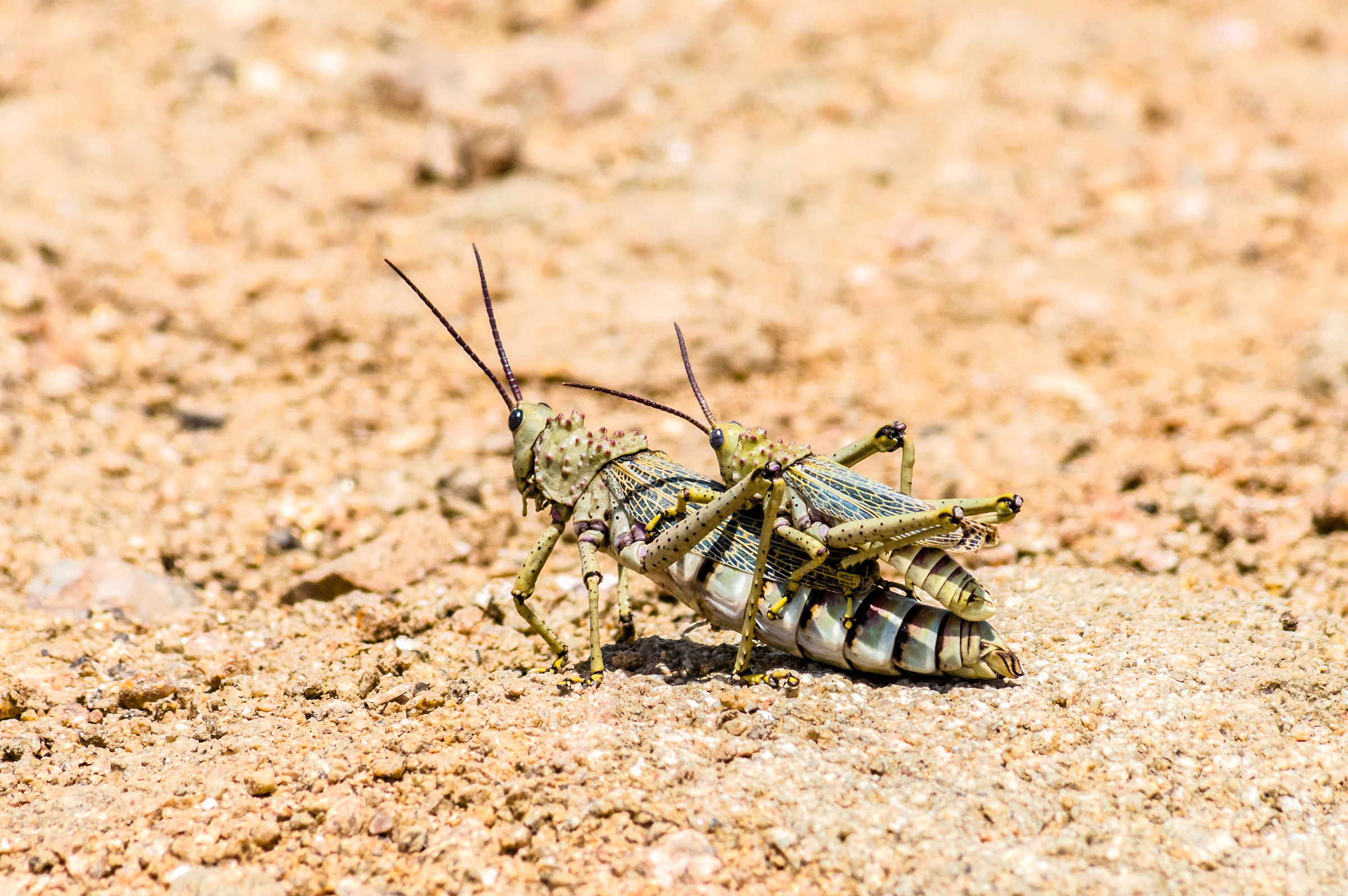 Momenti di intimità