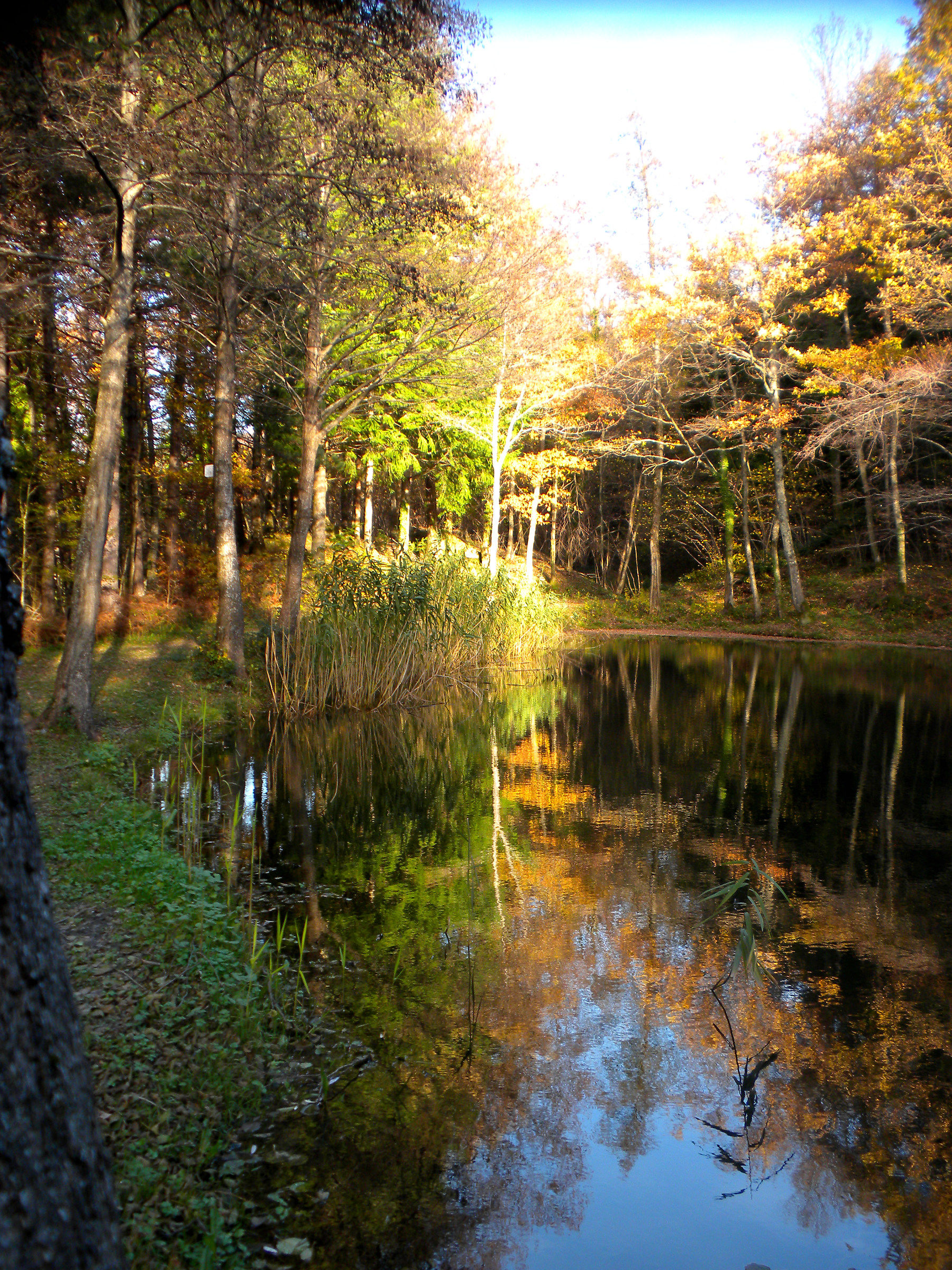 Casentino sorprendente