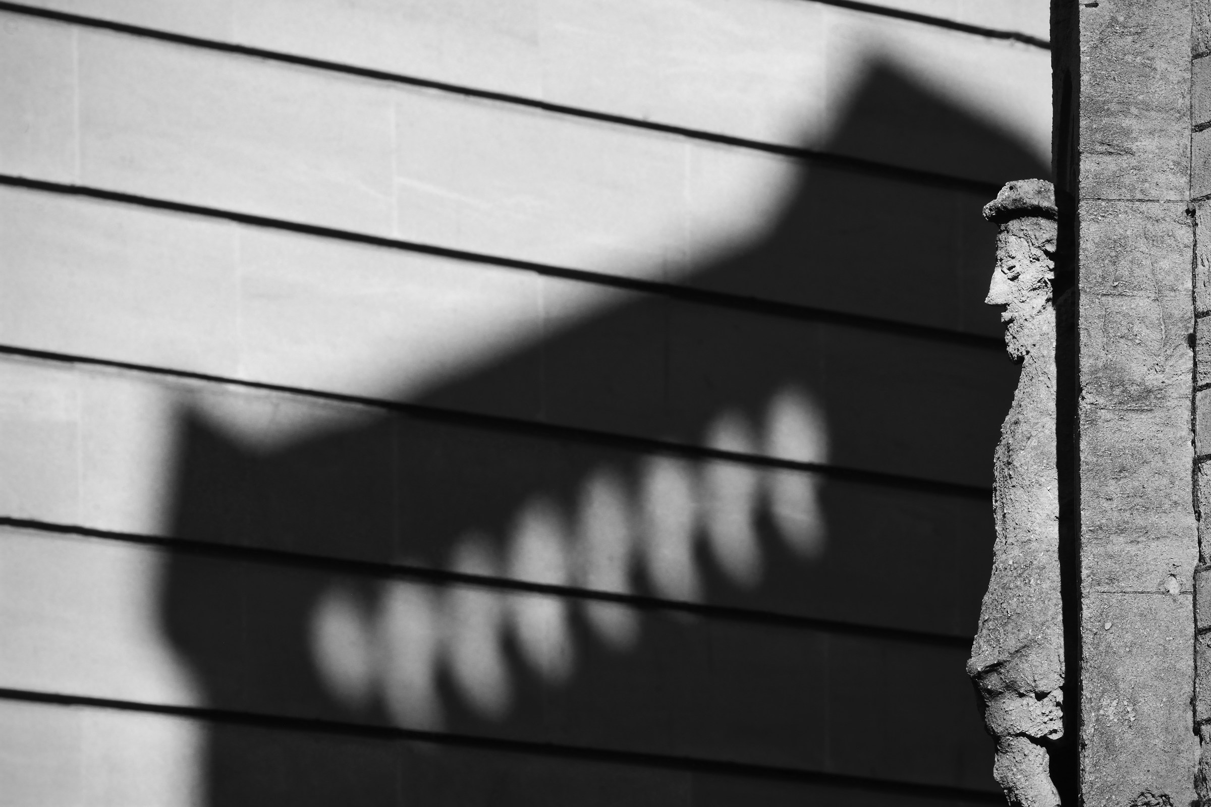 «Non è il mio Shadow"!