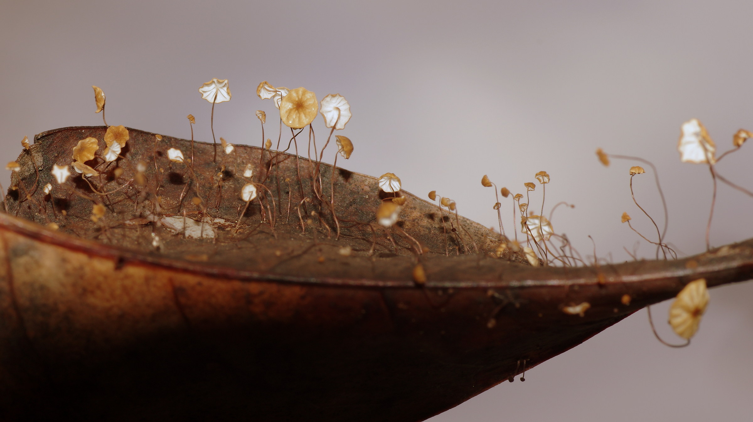 Nothing is created, nothing is lost ...