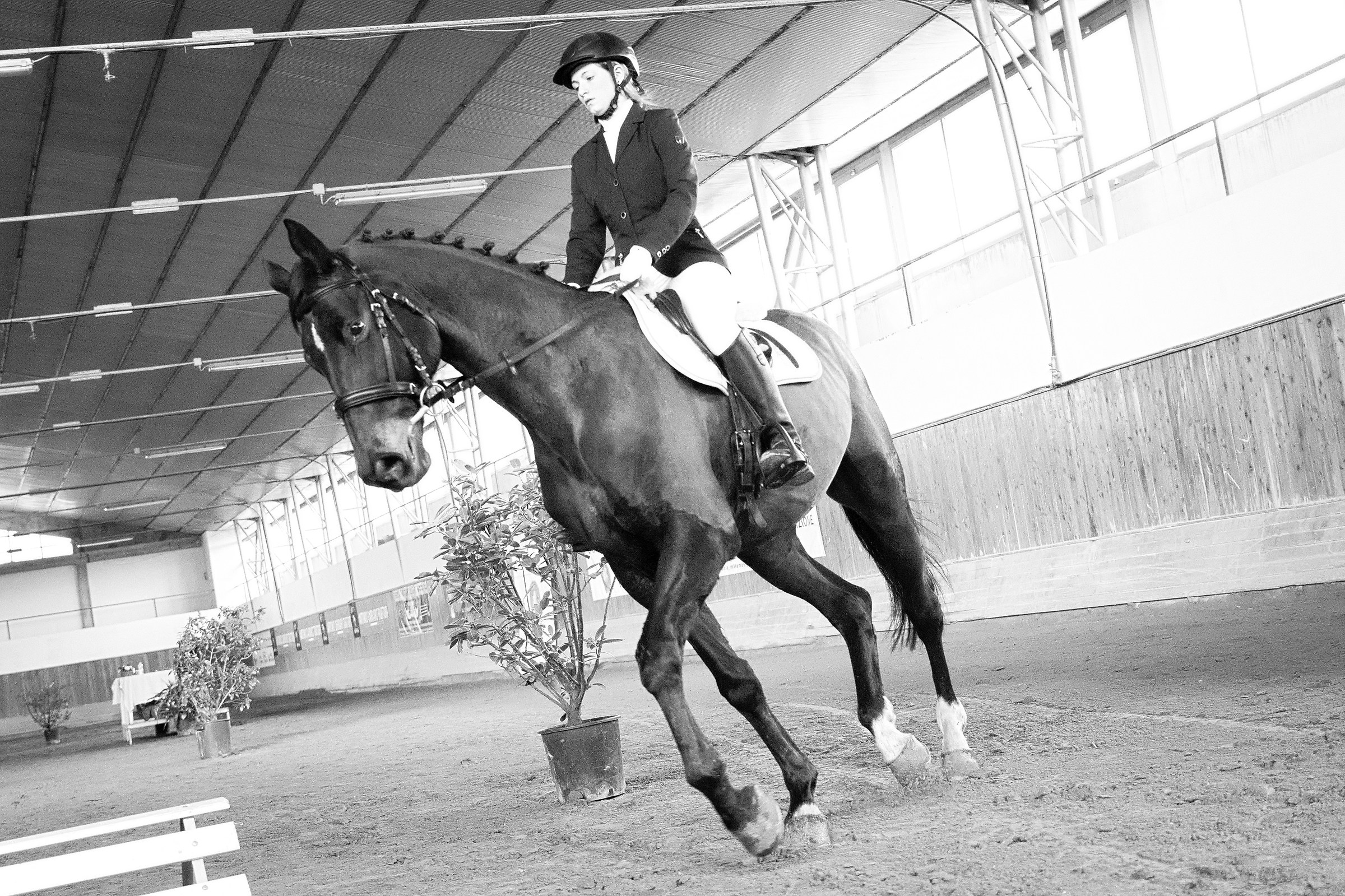 Entry into the competition venue