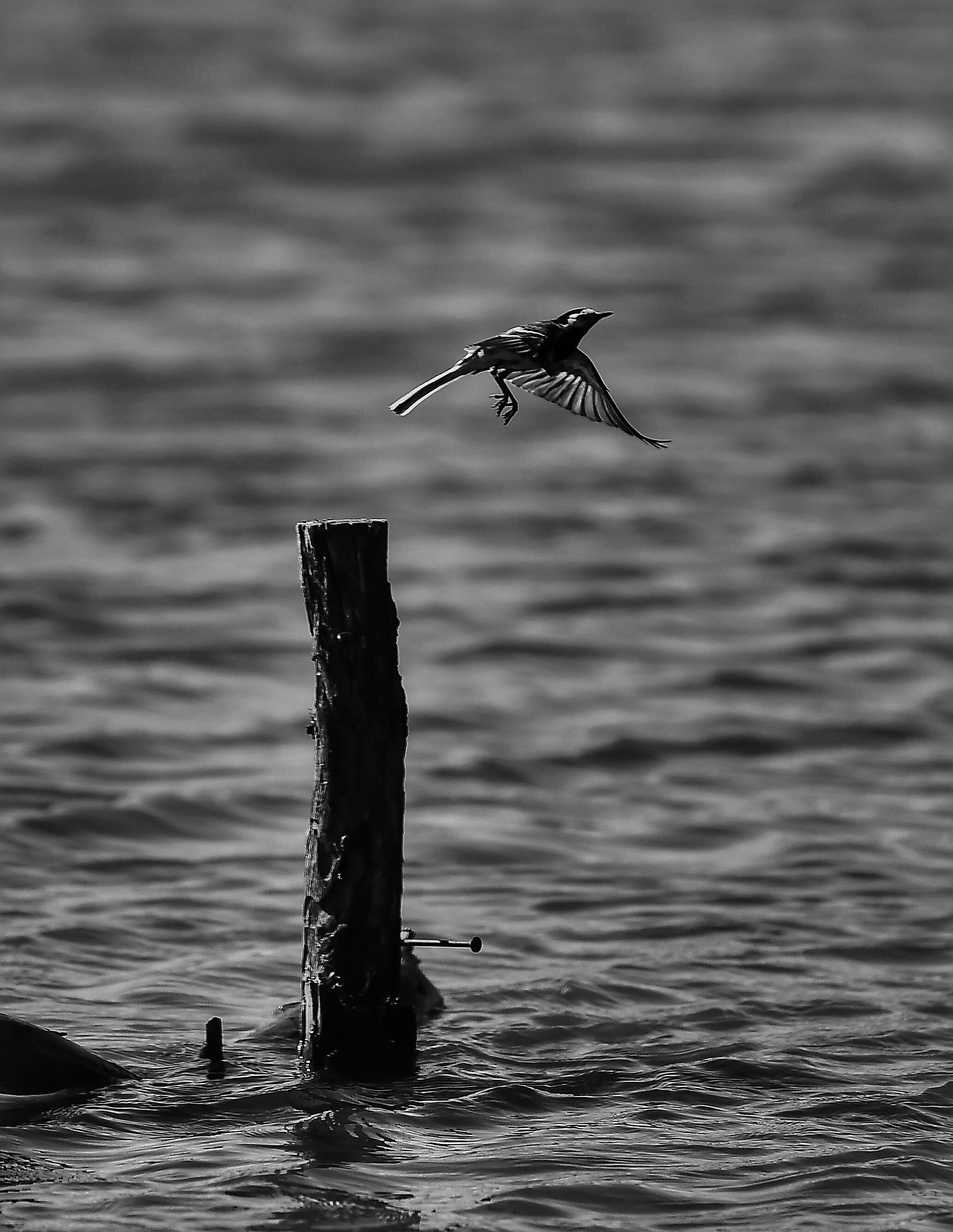 I do not know where to go?!?!