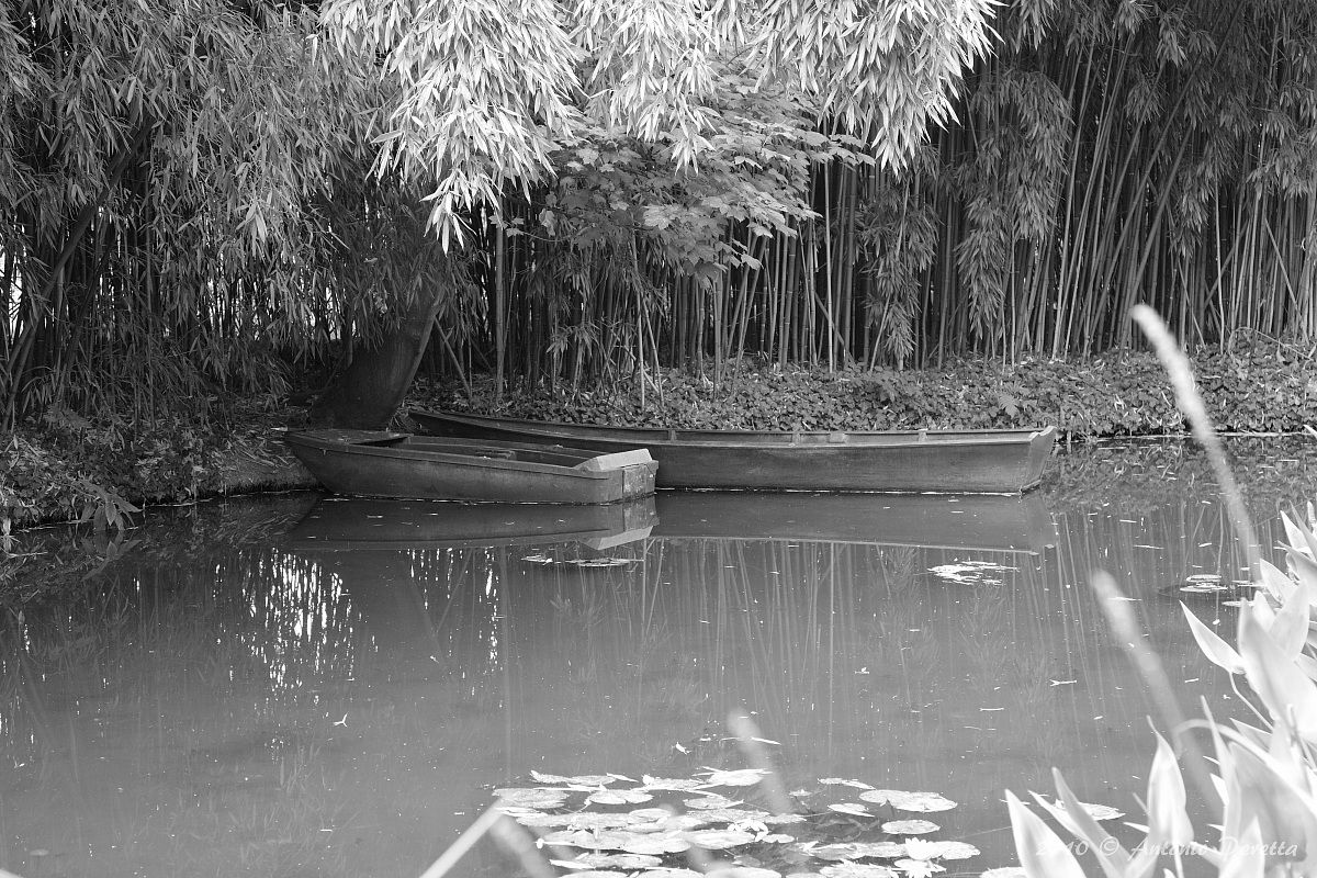 barche nel giardino di Claude Monet  - Giverny