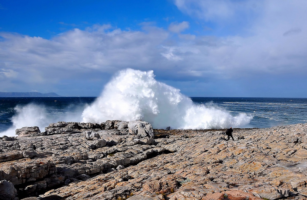 E il mostro si sollevò dalle acque...