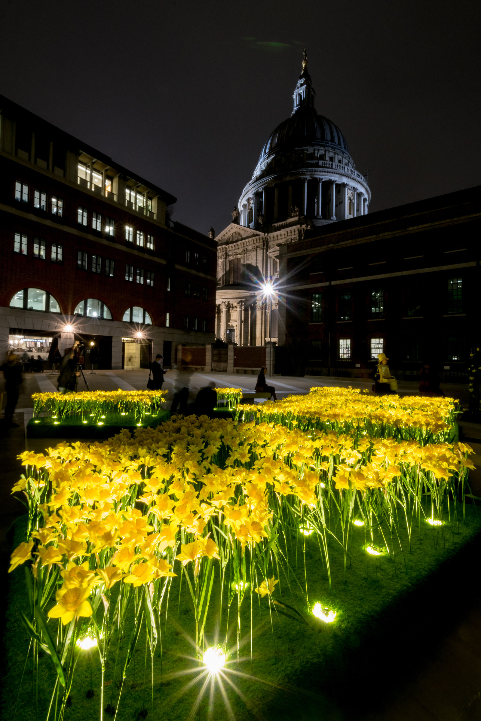 Marie Curie Narcisi In Paternoster Square