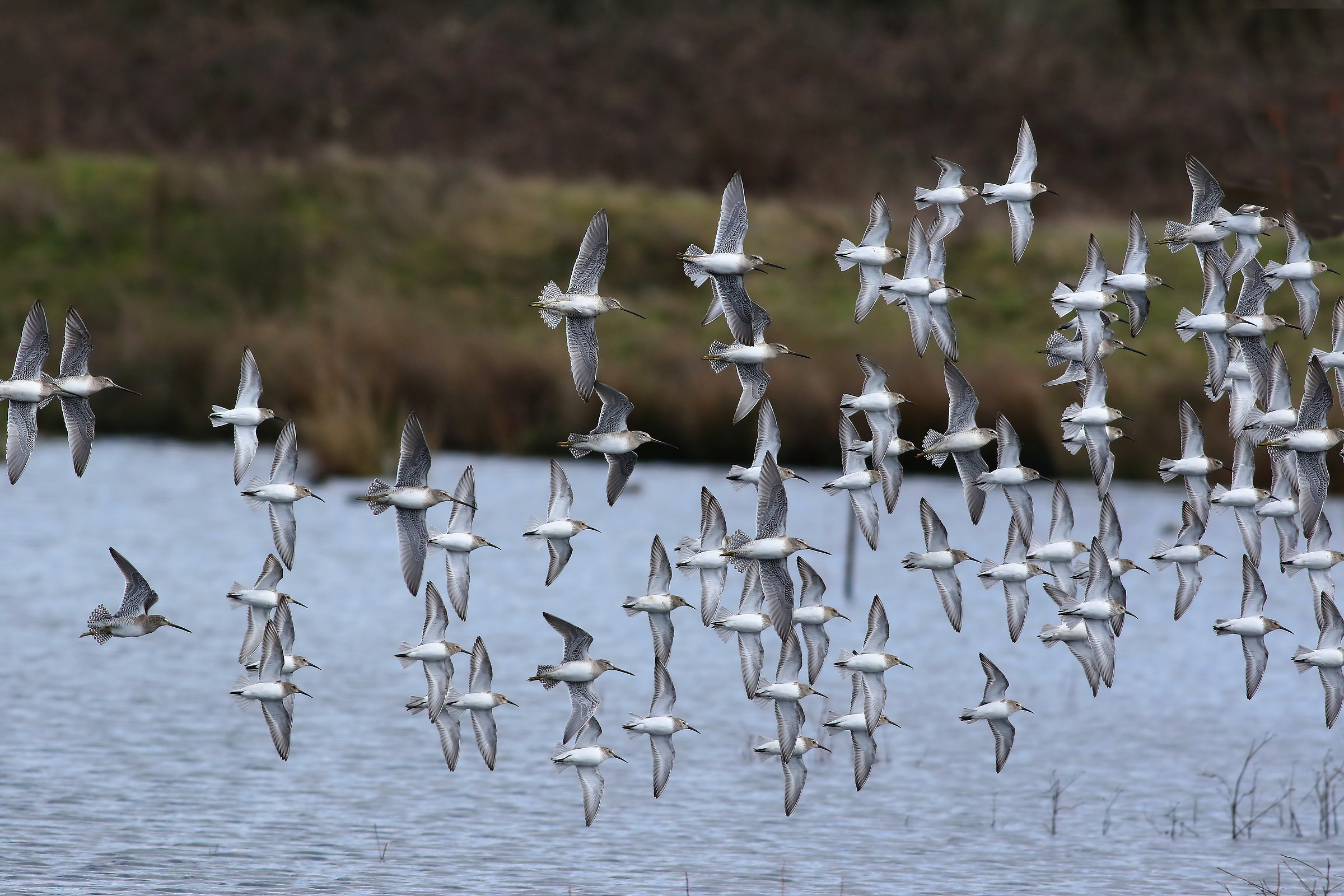 Uno sguardo più ampio