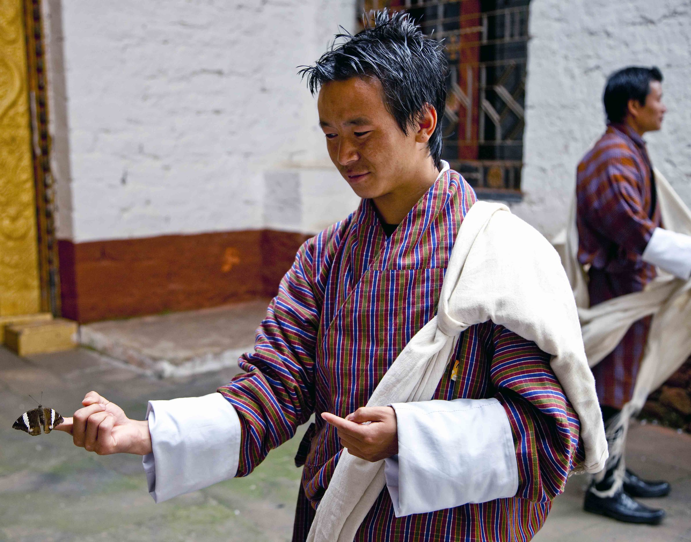 The butterfly - Bhutan
