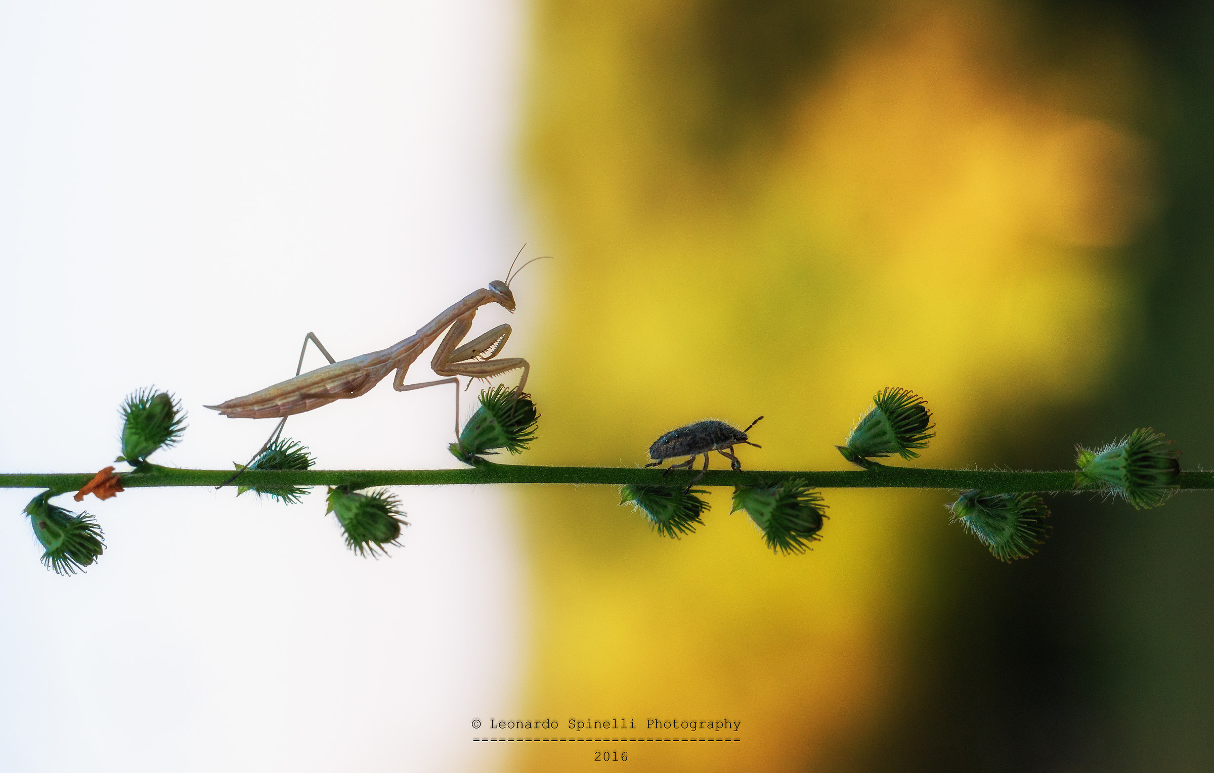 non andare via....(rimani per cena..)