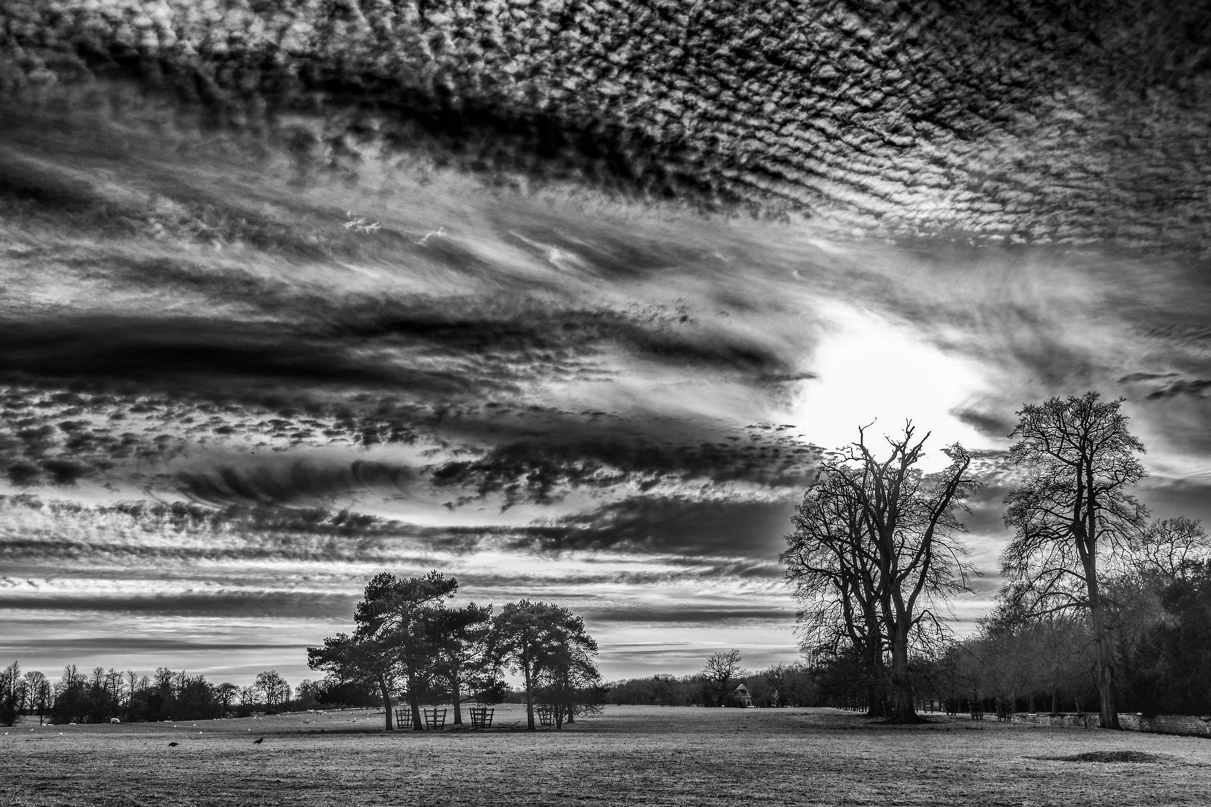 Per raggiungere il sole