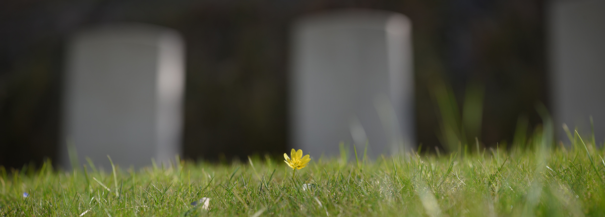 Gradara War Cemetery