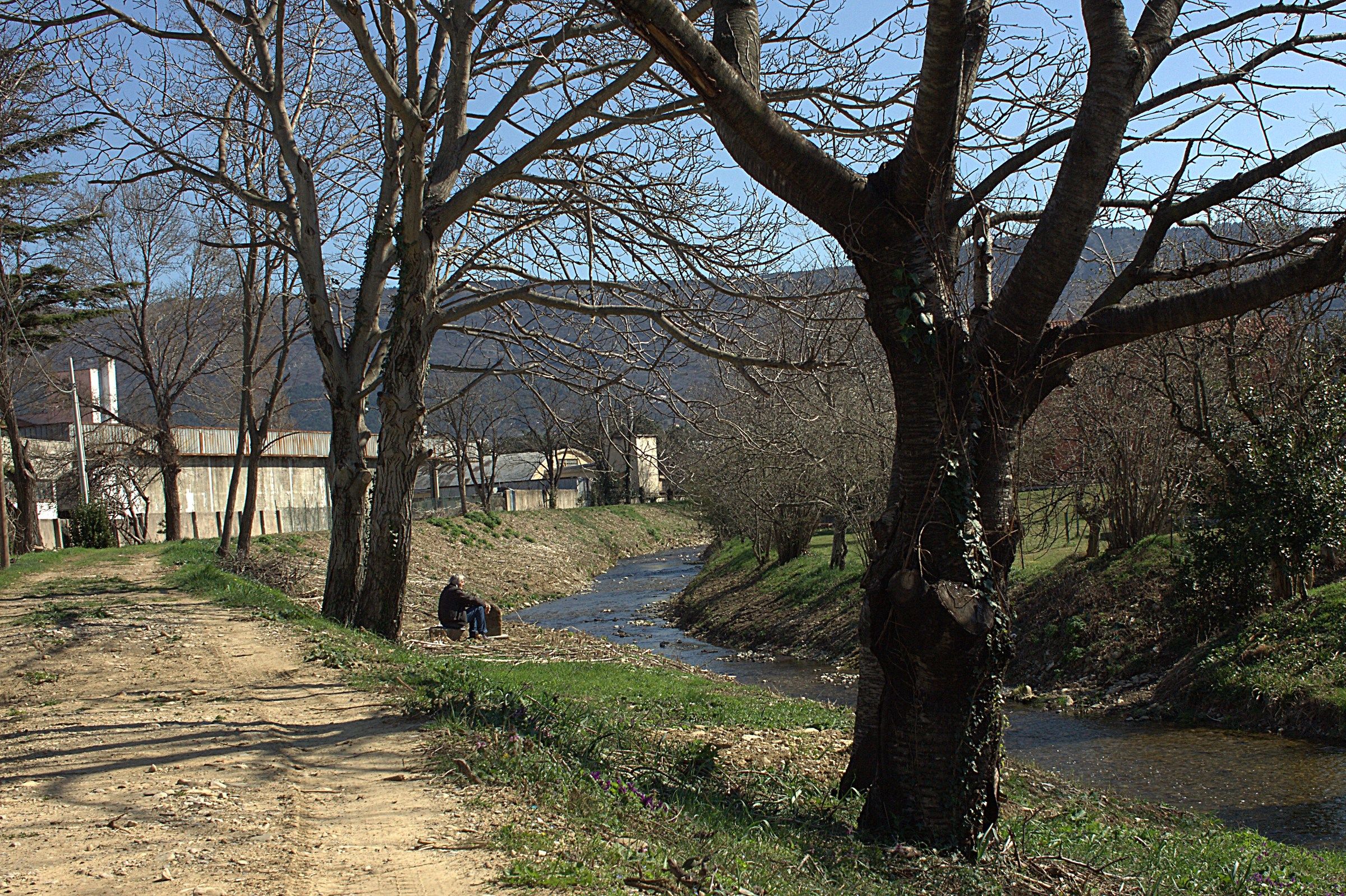 Il riposo lungo il torrente