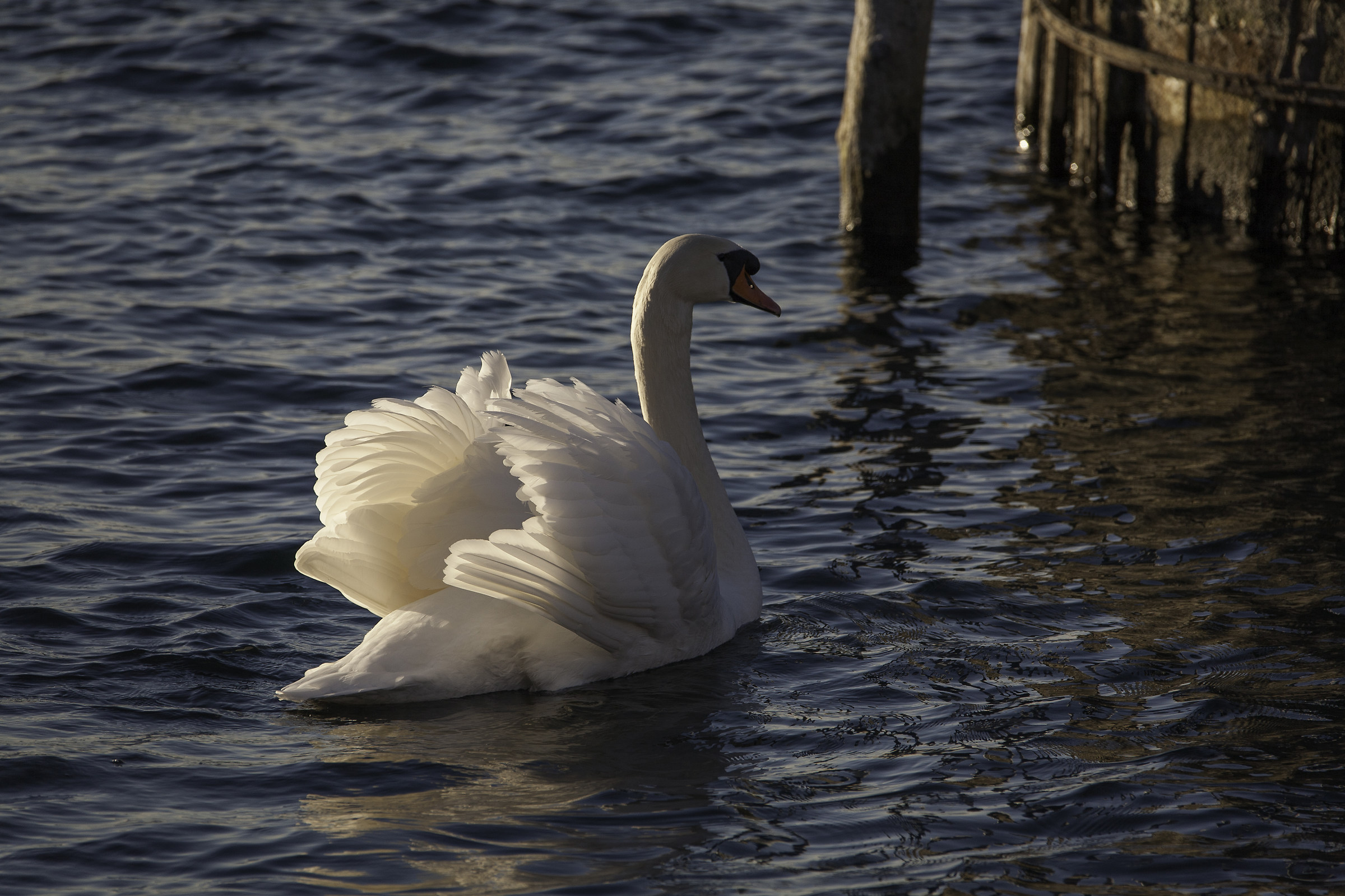 Ultimi raggi di sole