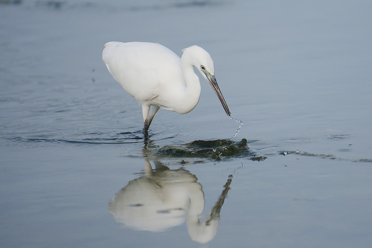 Sketch ... reflection