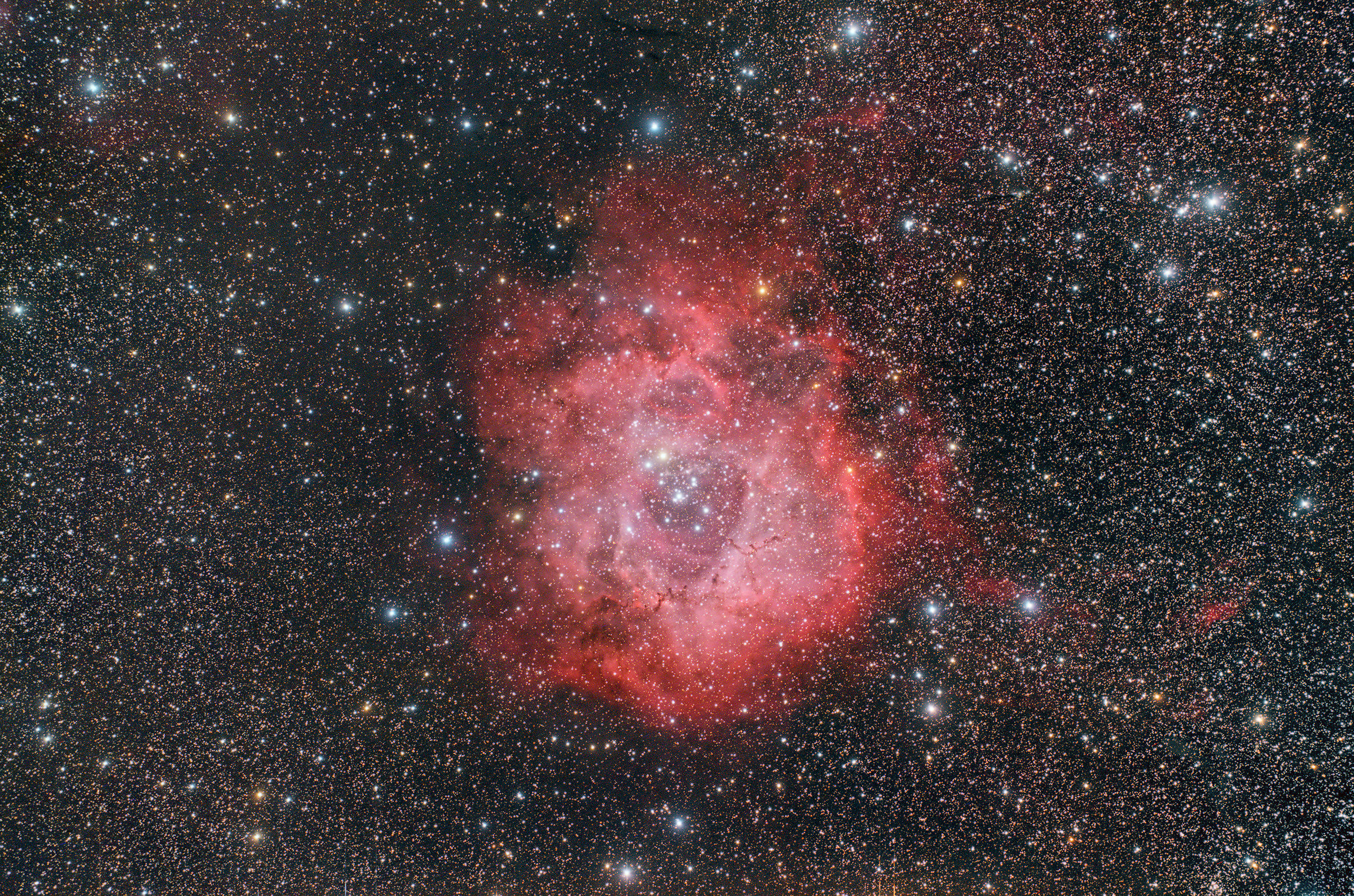 A flower in the sky Rosetta