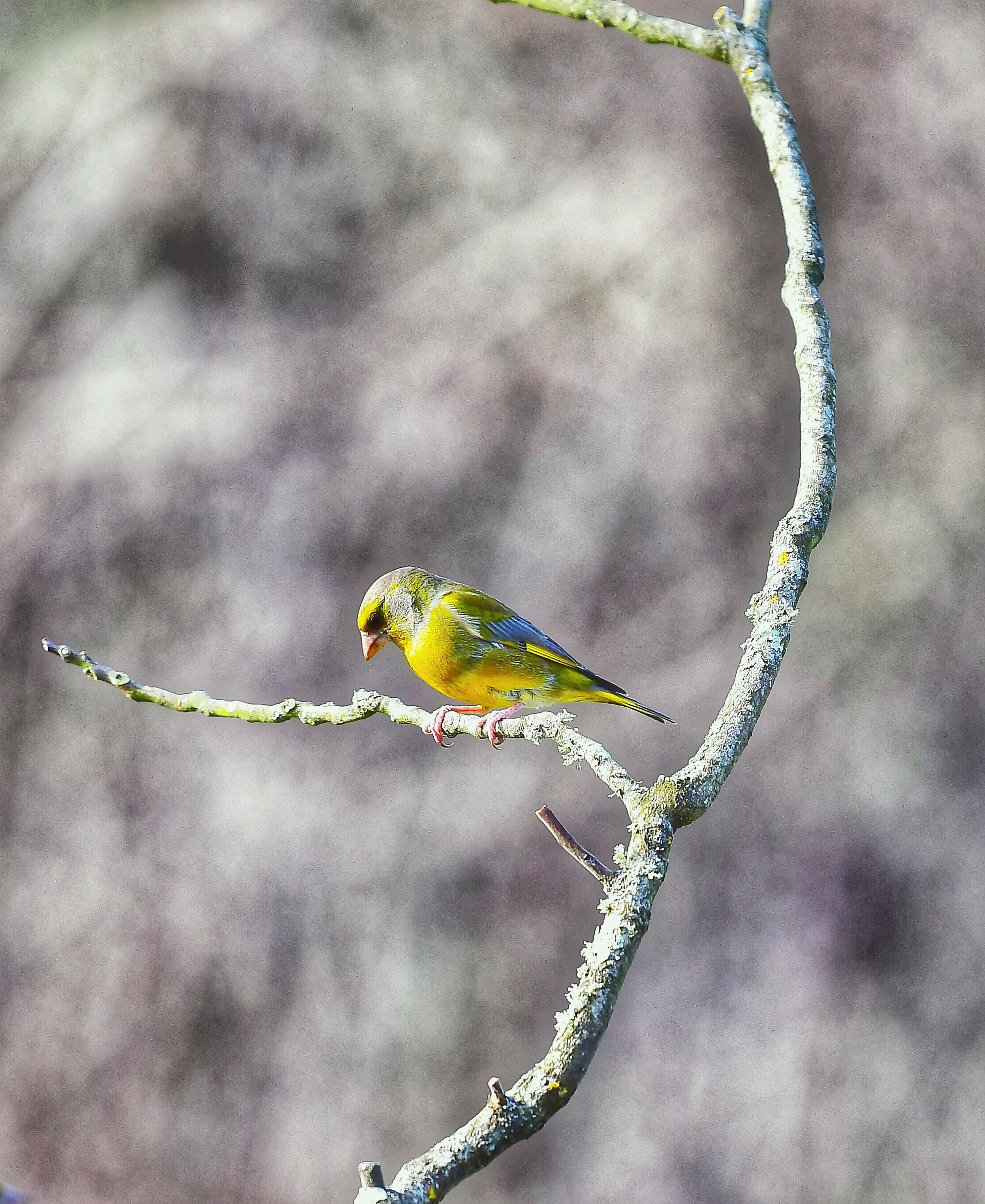 Do not take pictures !!!