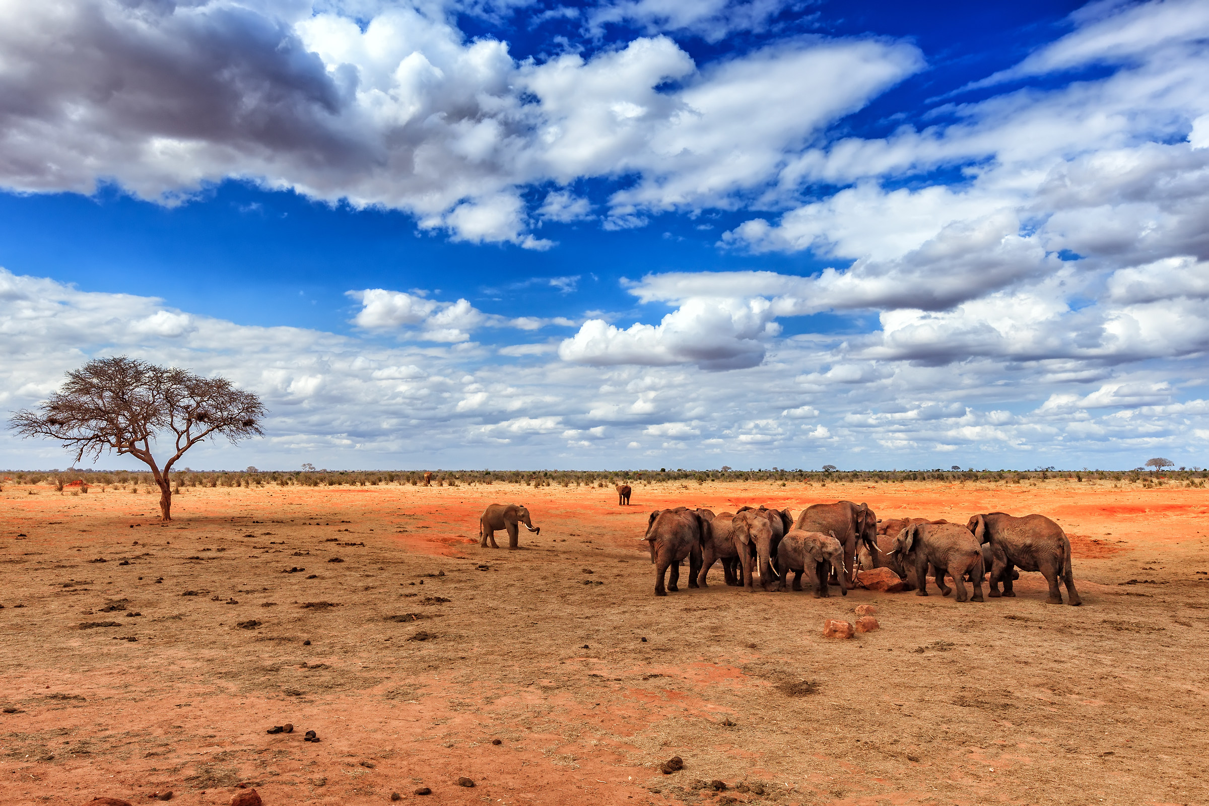 Riunione di condominio