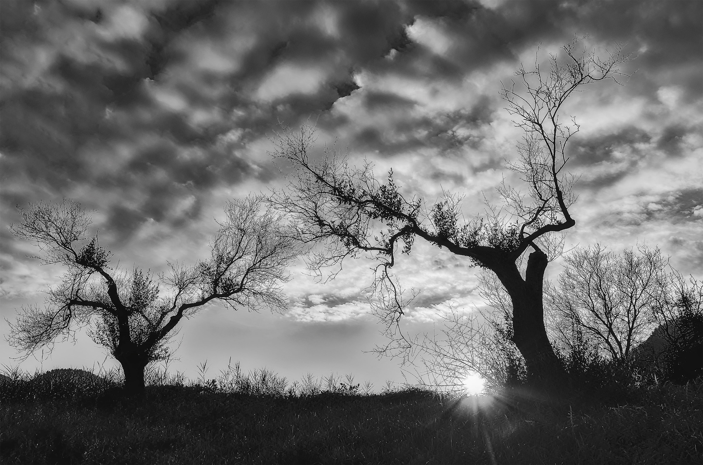 At the foot of the olive!