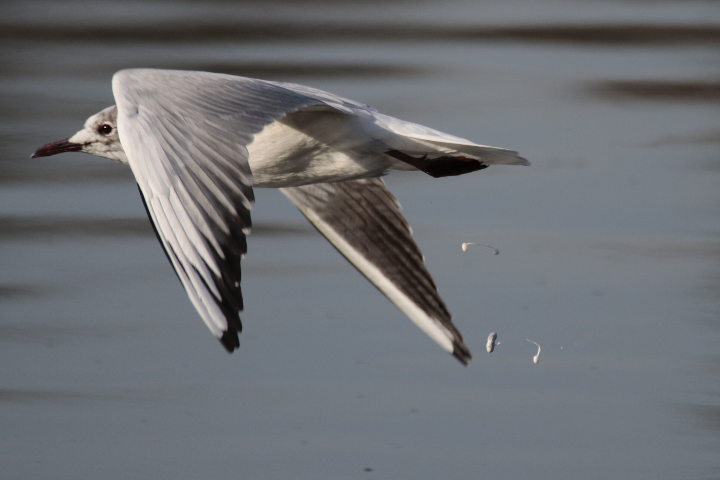 Thank God I was not under