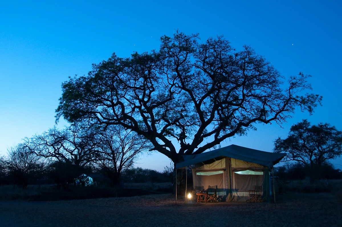 Serengeti all'imbrunire