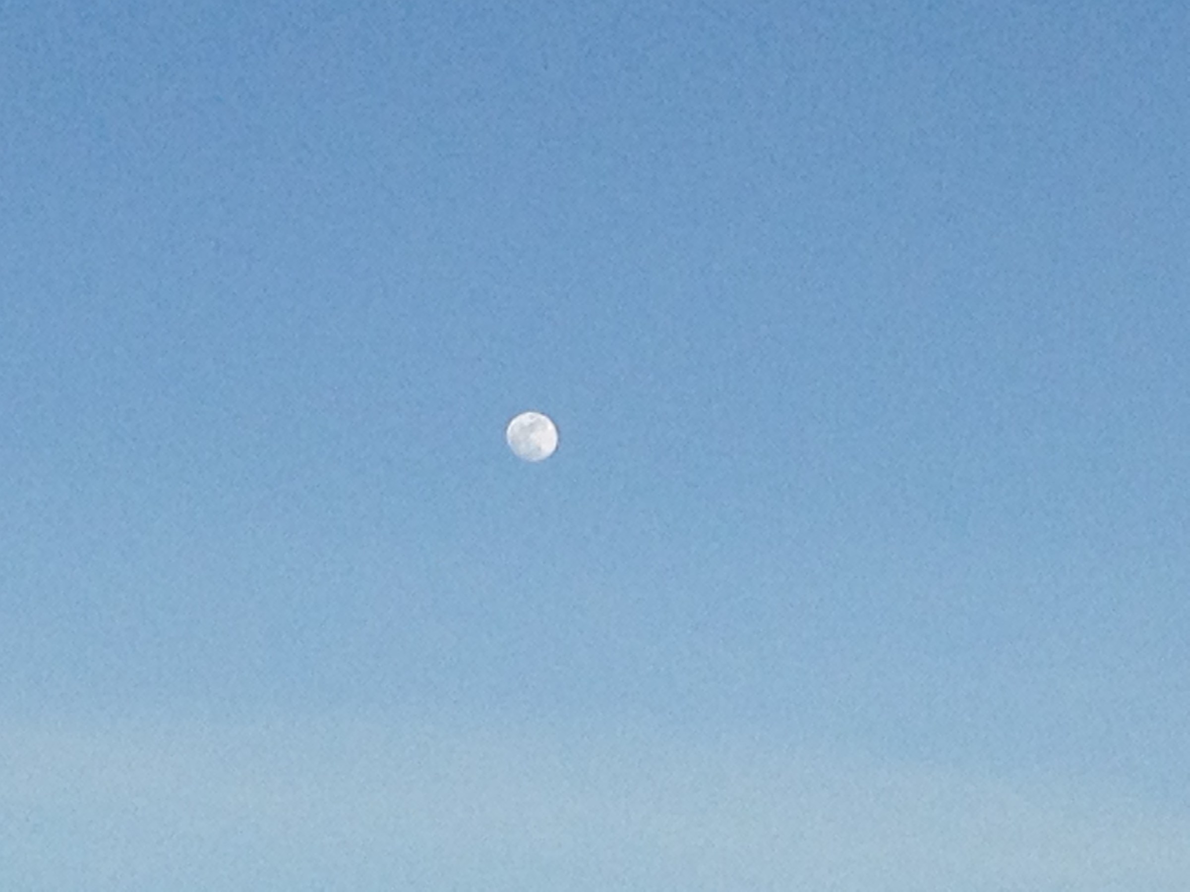 Moon !!!!!!!! Sol ..... at