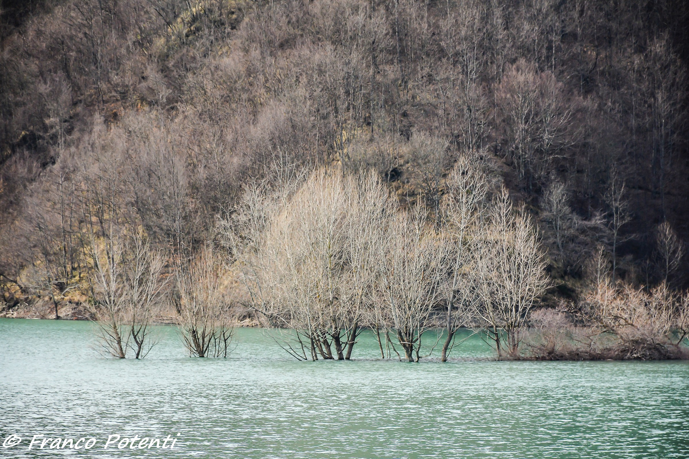 Brugneto Lake (g) 1