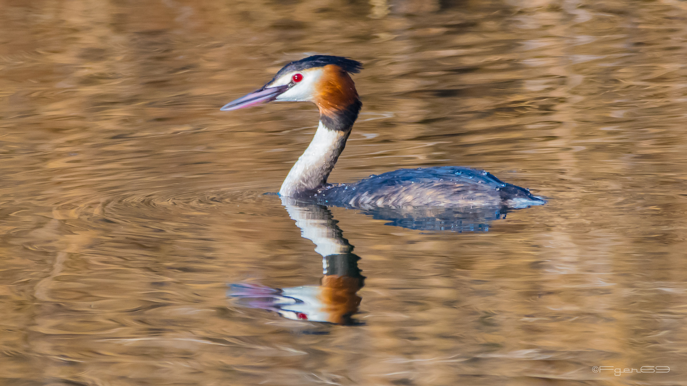 Svasso - Torbiere del Sebino