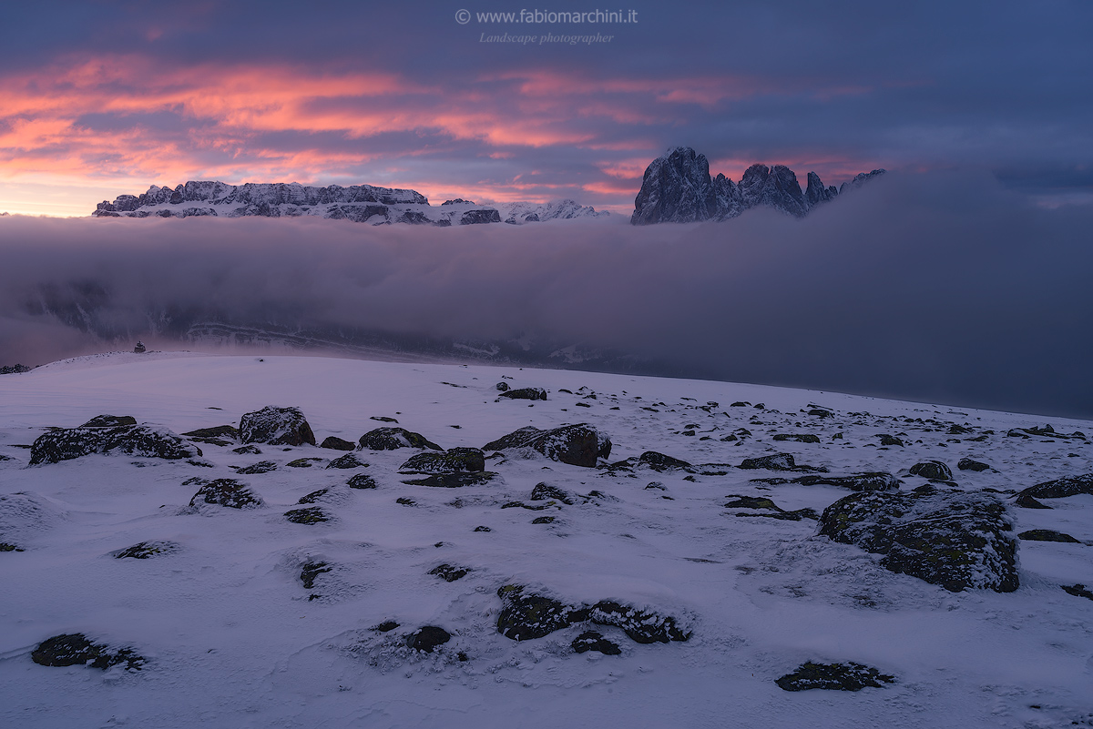 Awakenings fairytale