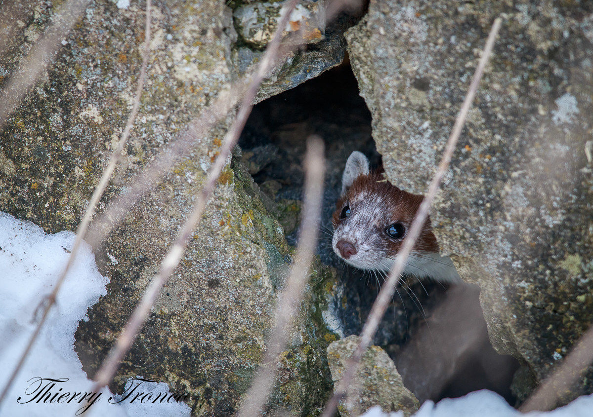 I always feel like somebody's watching me