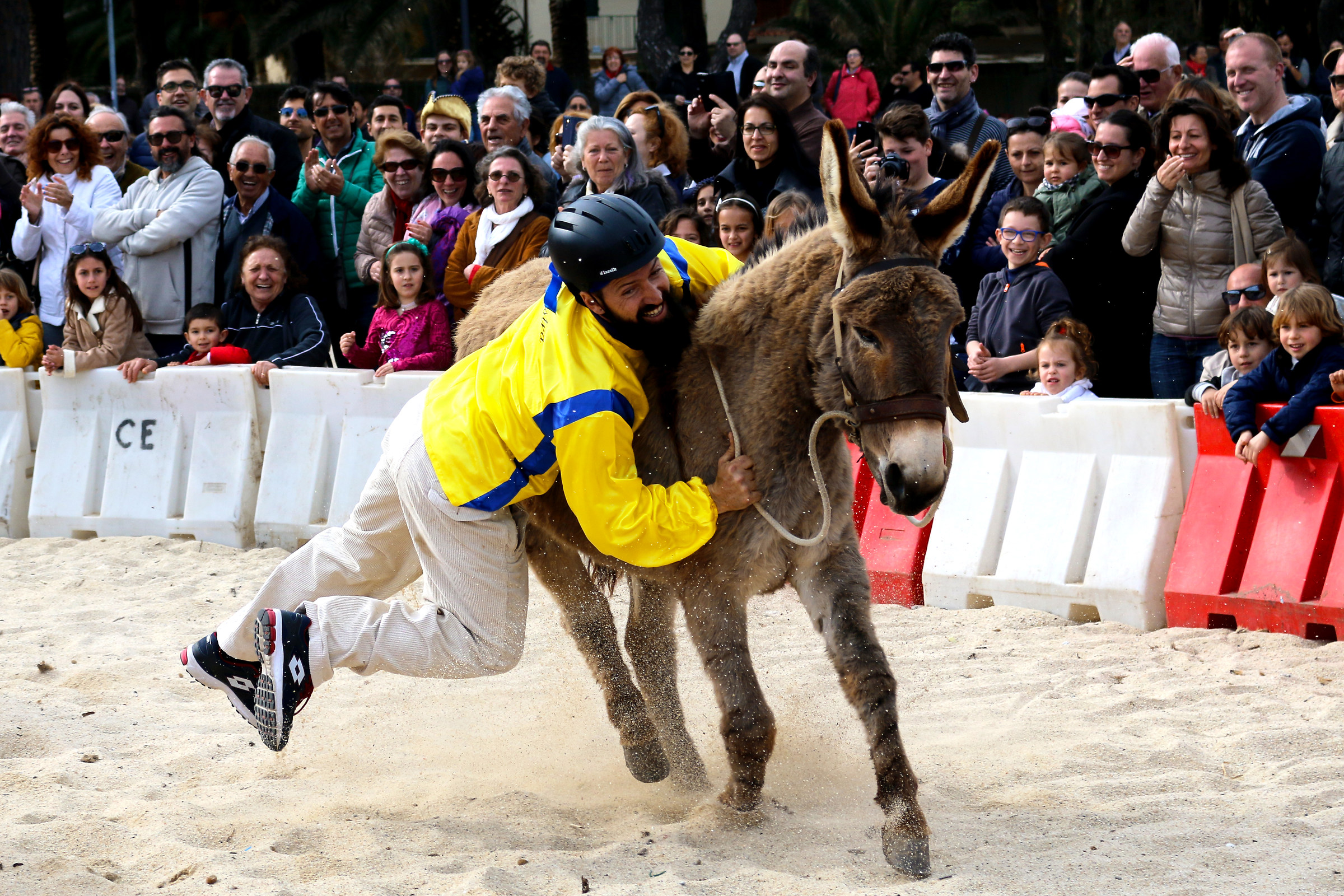 the jump on the donkey