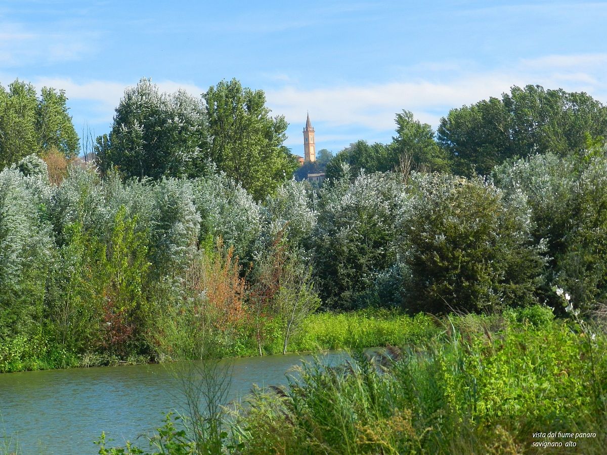 passeggiando lungo al fiume
