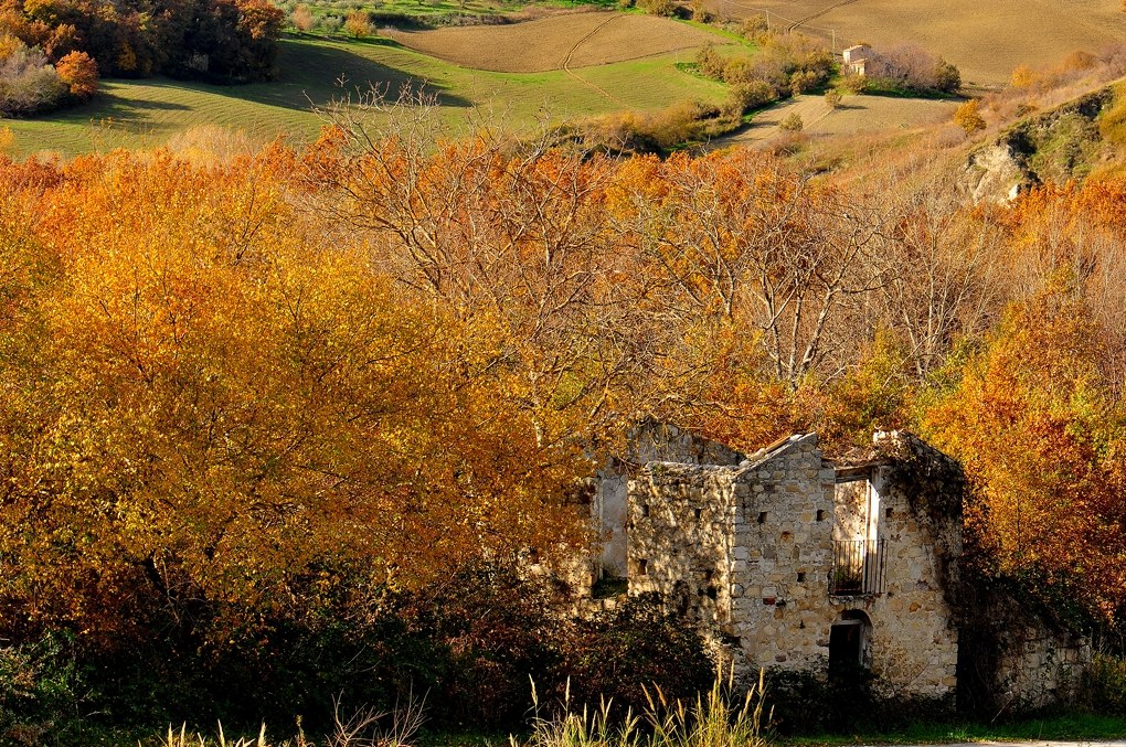 Inside Nature with Nature ... inside