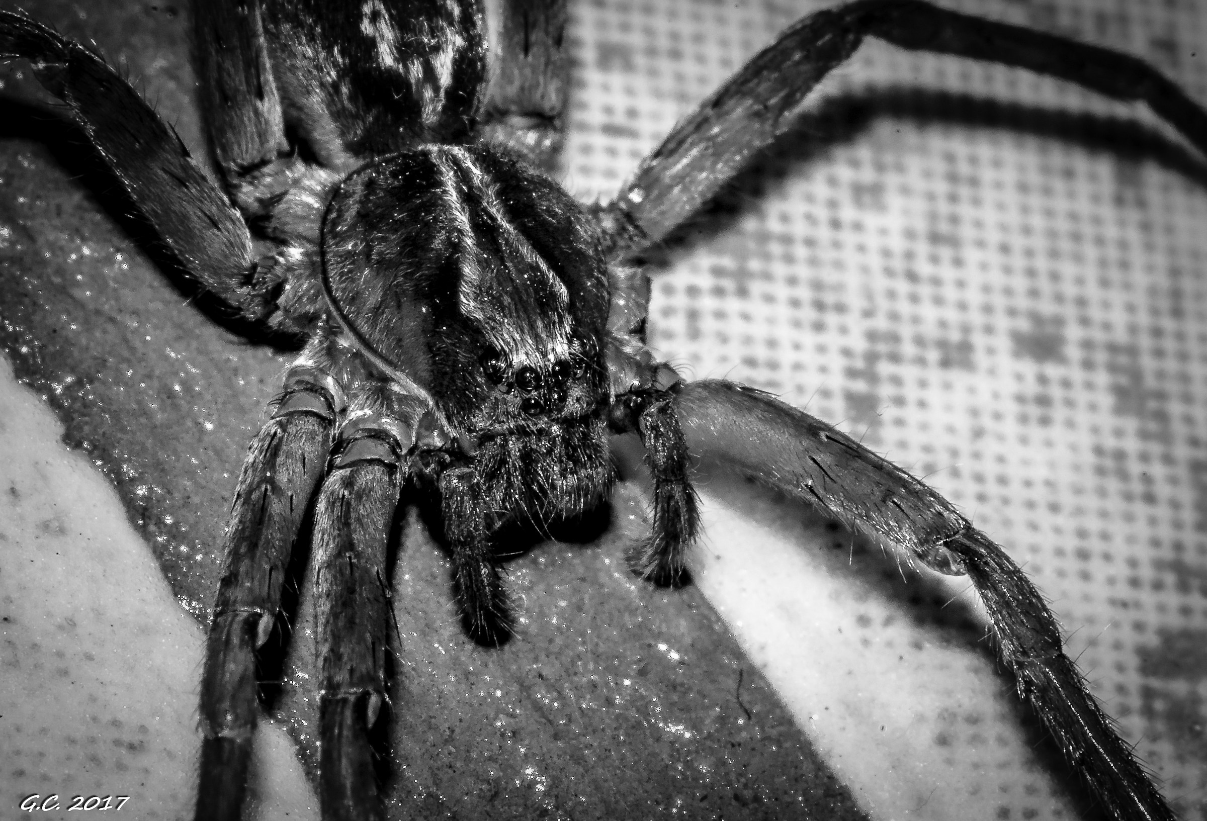 Un intruso in doccia!