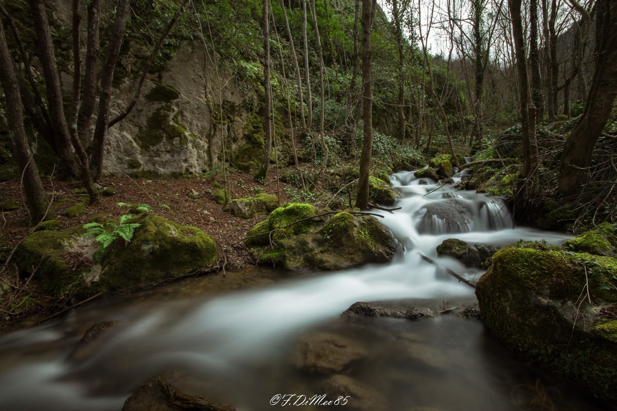 Gole Del Sagittarius