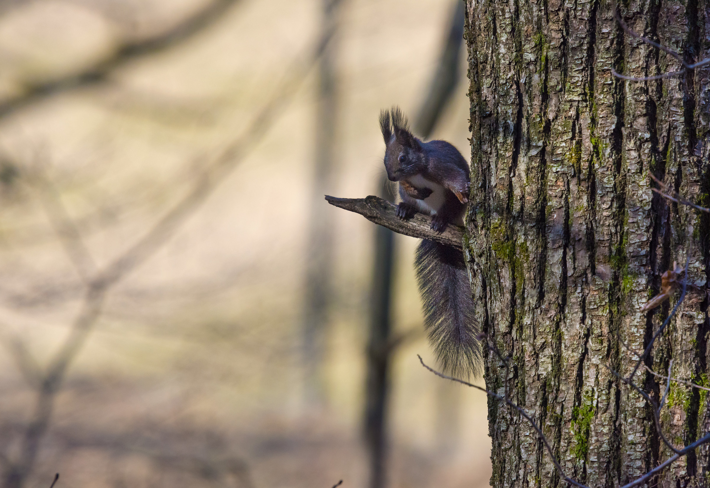 Hey, I just woke up!