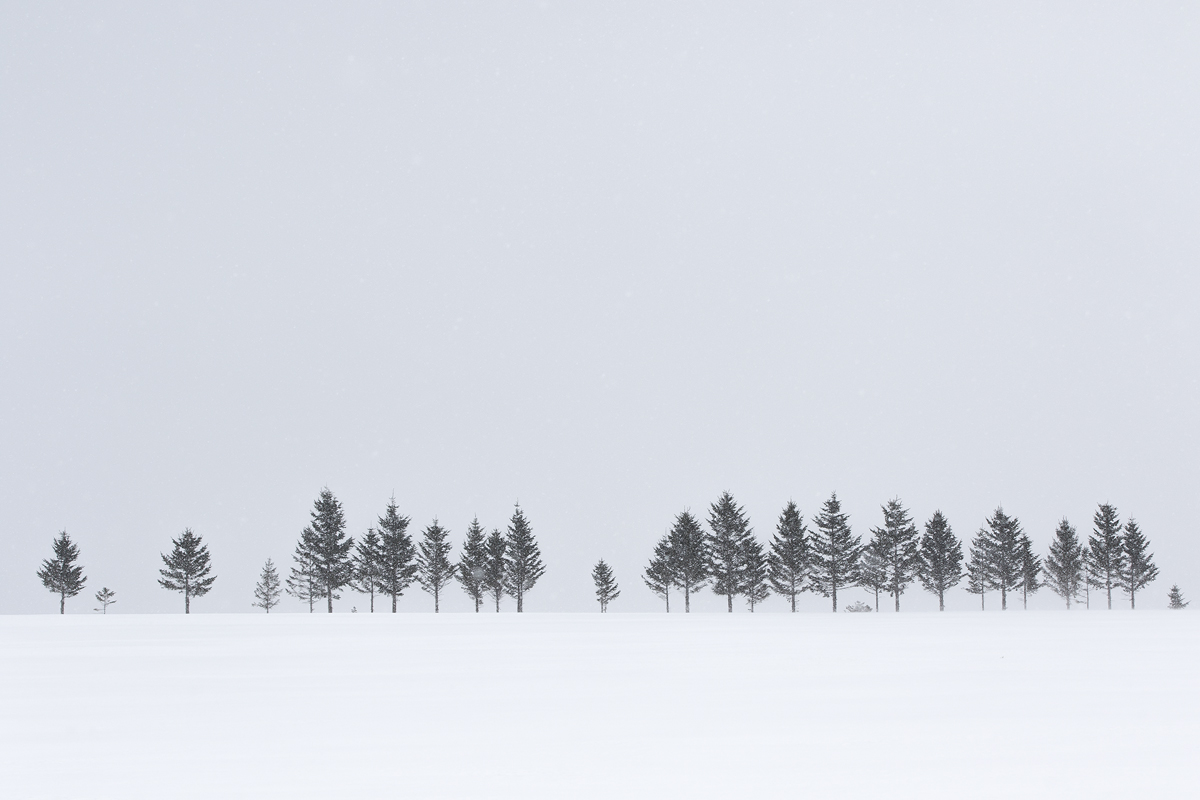 Japan Minimal Landscape