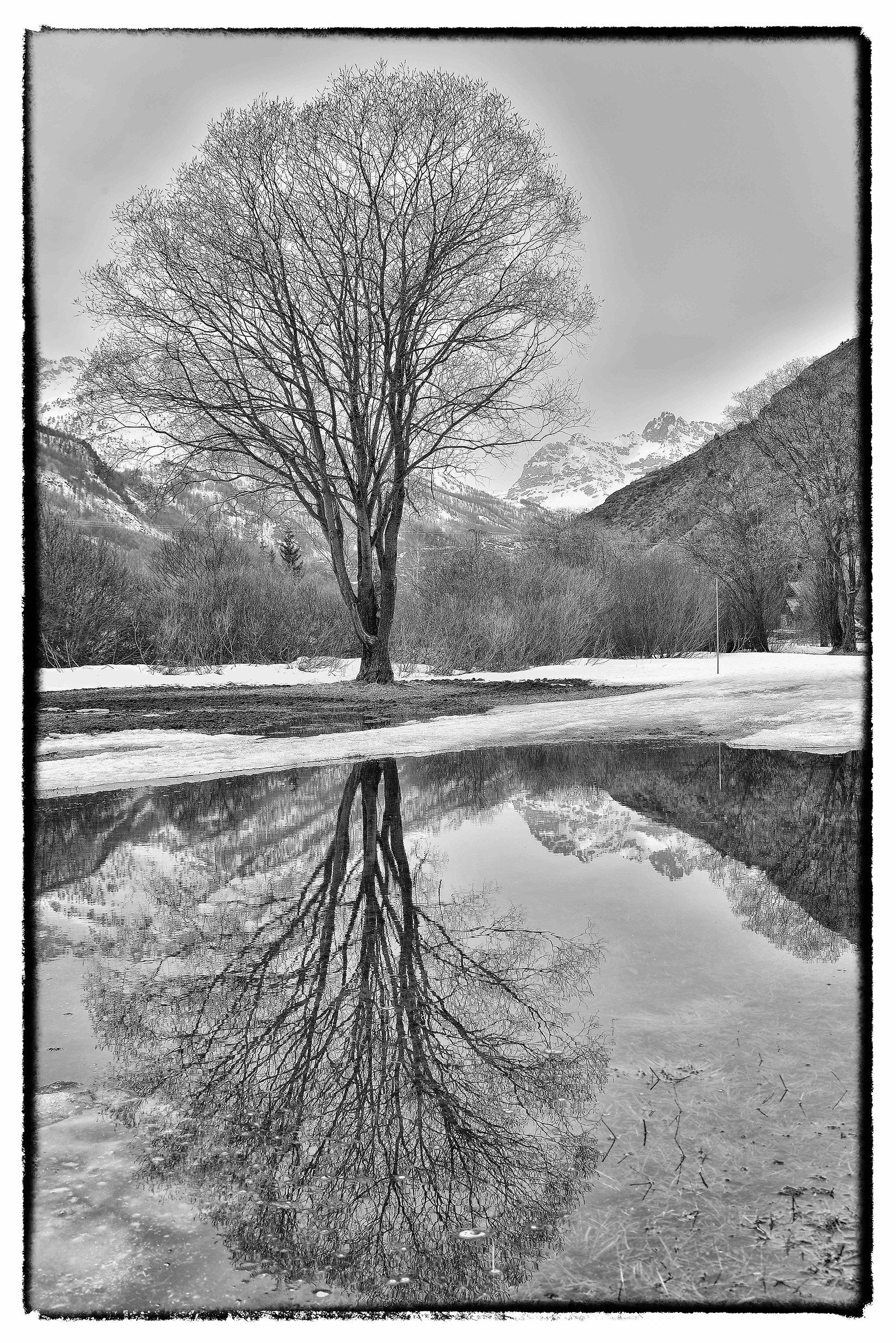 Paradise reflections