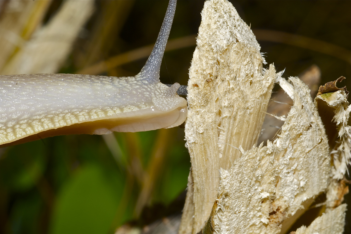 Mi dovrò distendere un pò .