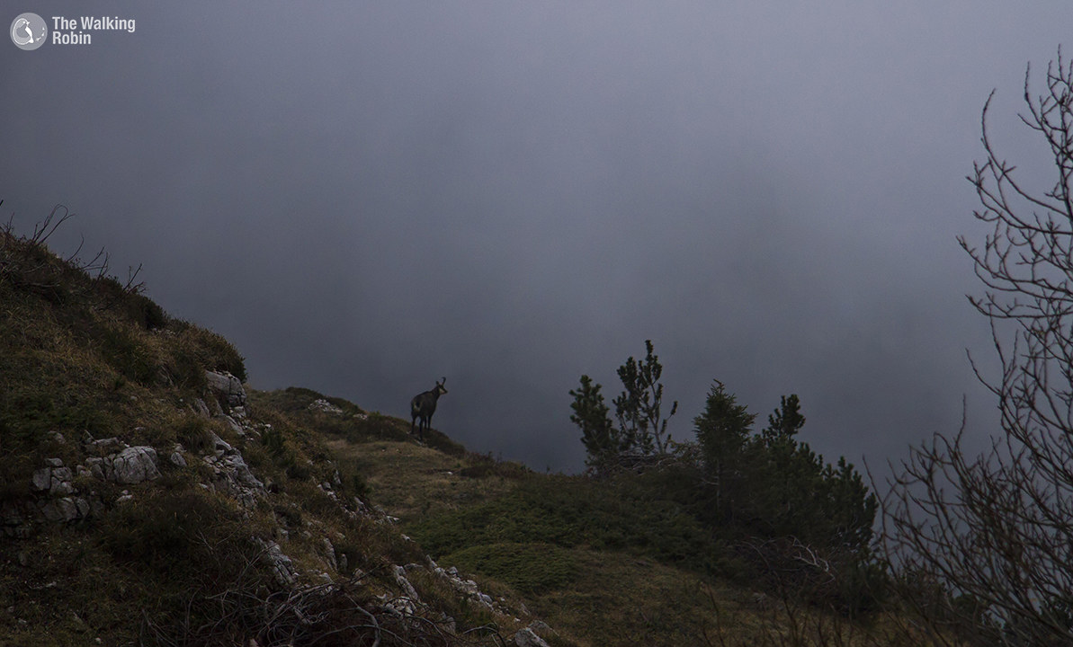 E arriva una notte di tempesta