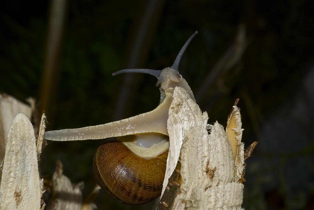 Dai che ce l'ho fatta .