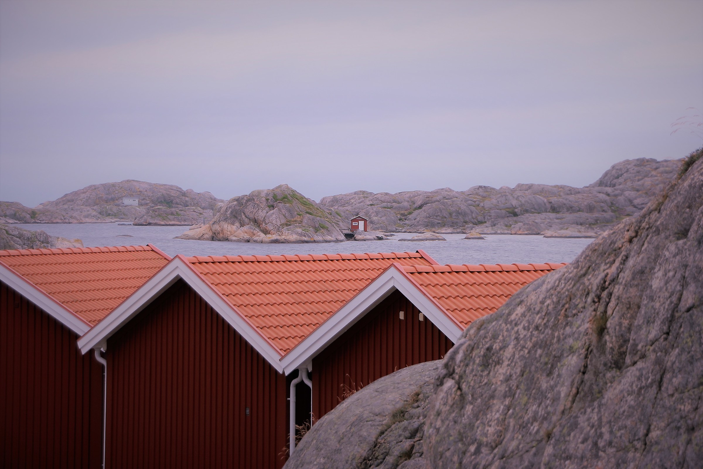 Avevano finito gli altri colori...