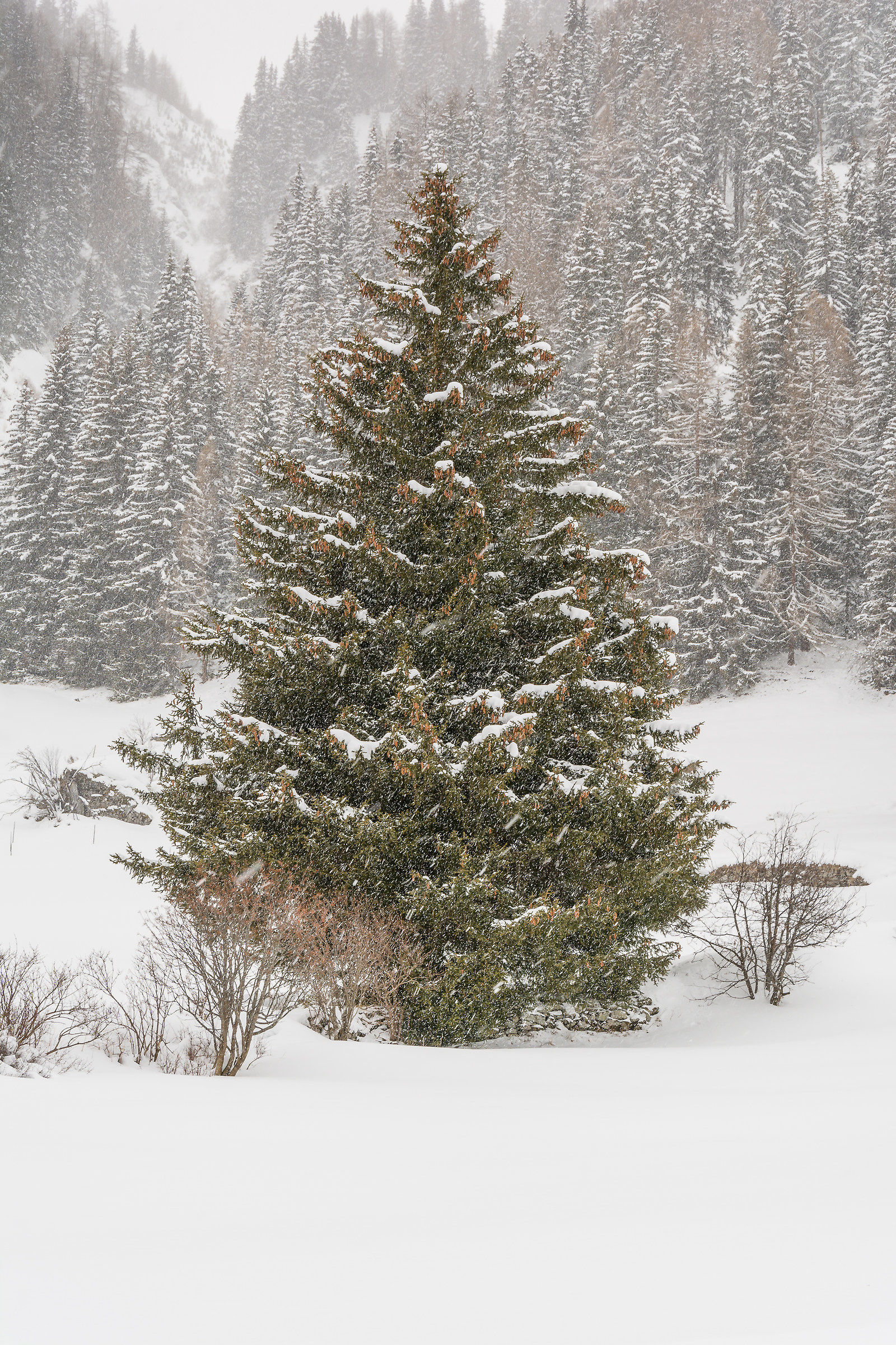 Casere, Valle Aurina.