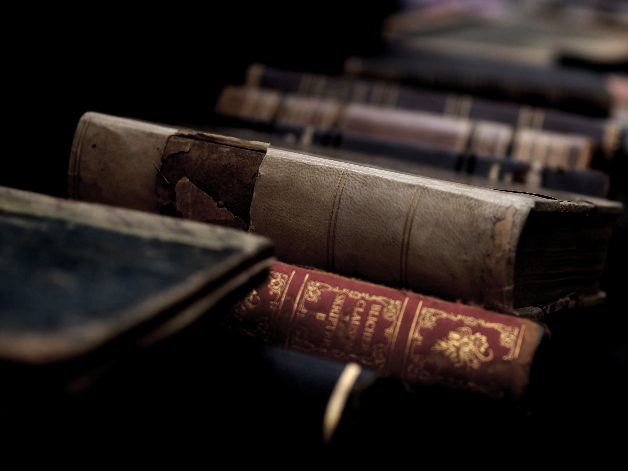 La cultura non ha età...