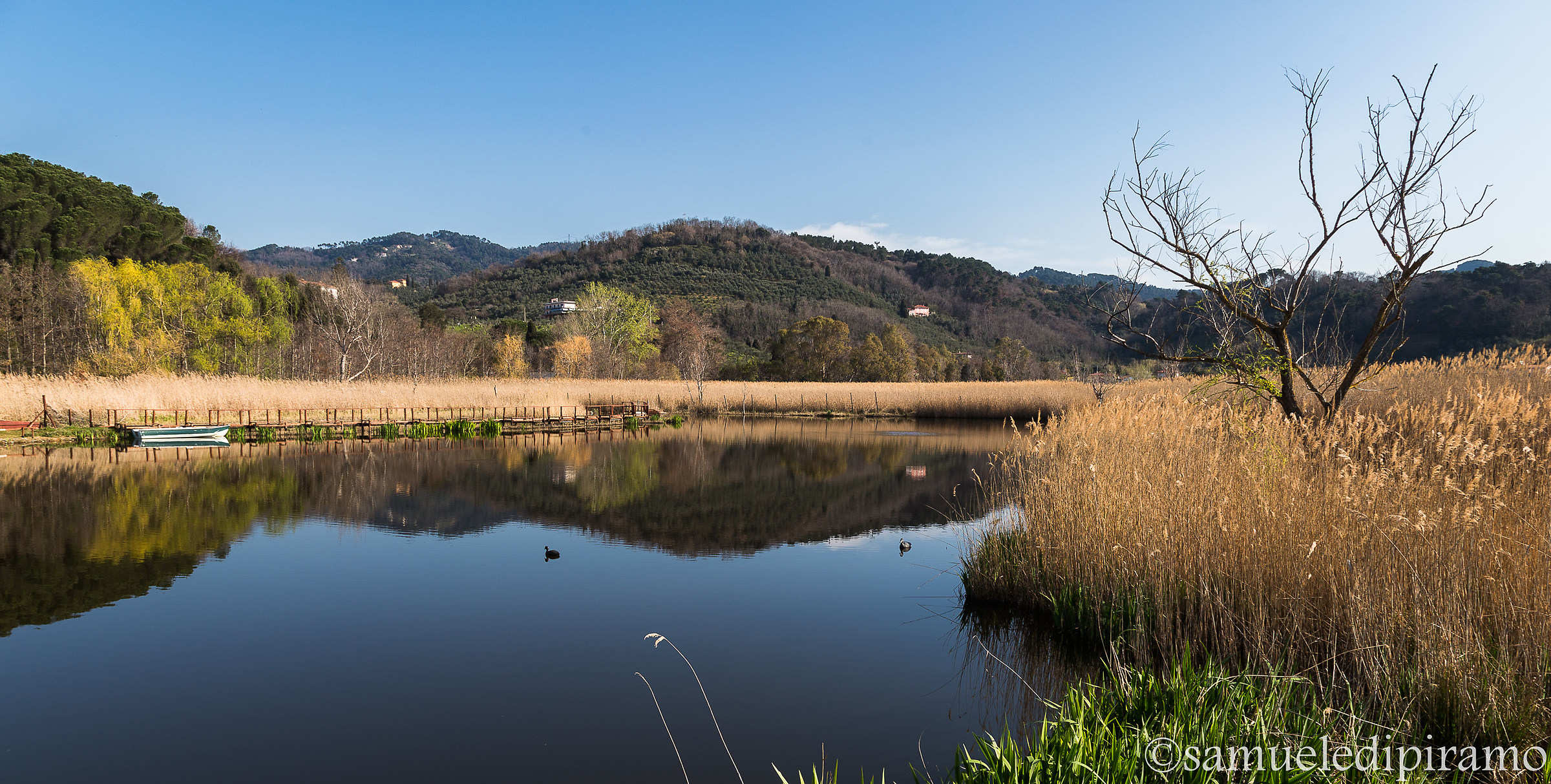 Path of the lotus flowers, Massarosa (Mo)
