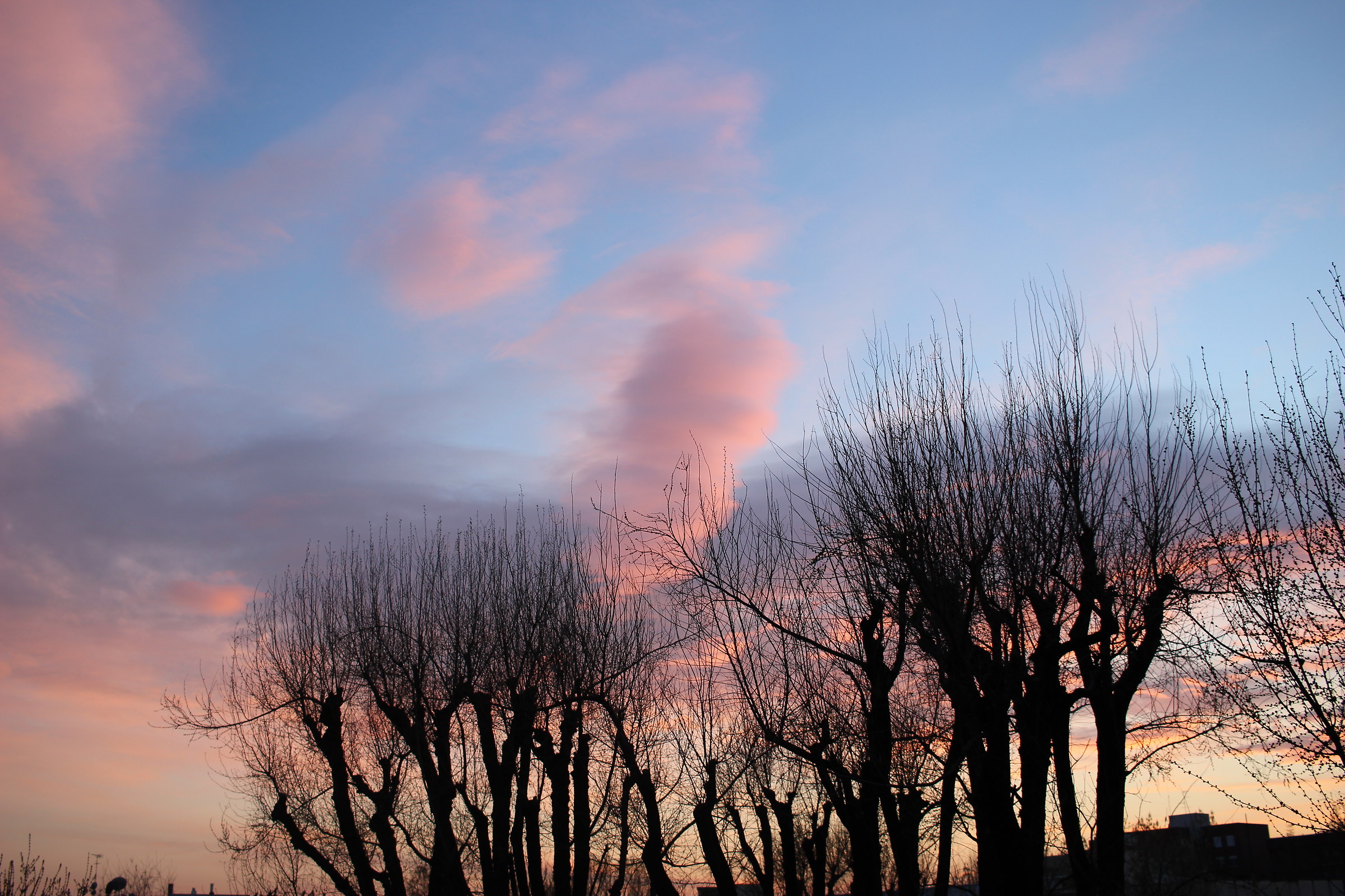 Volando sopra boschi di braccia tese.
