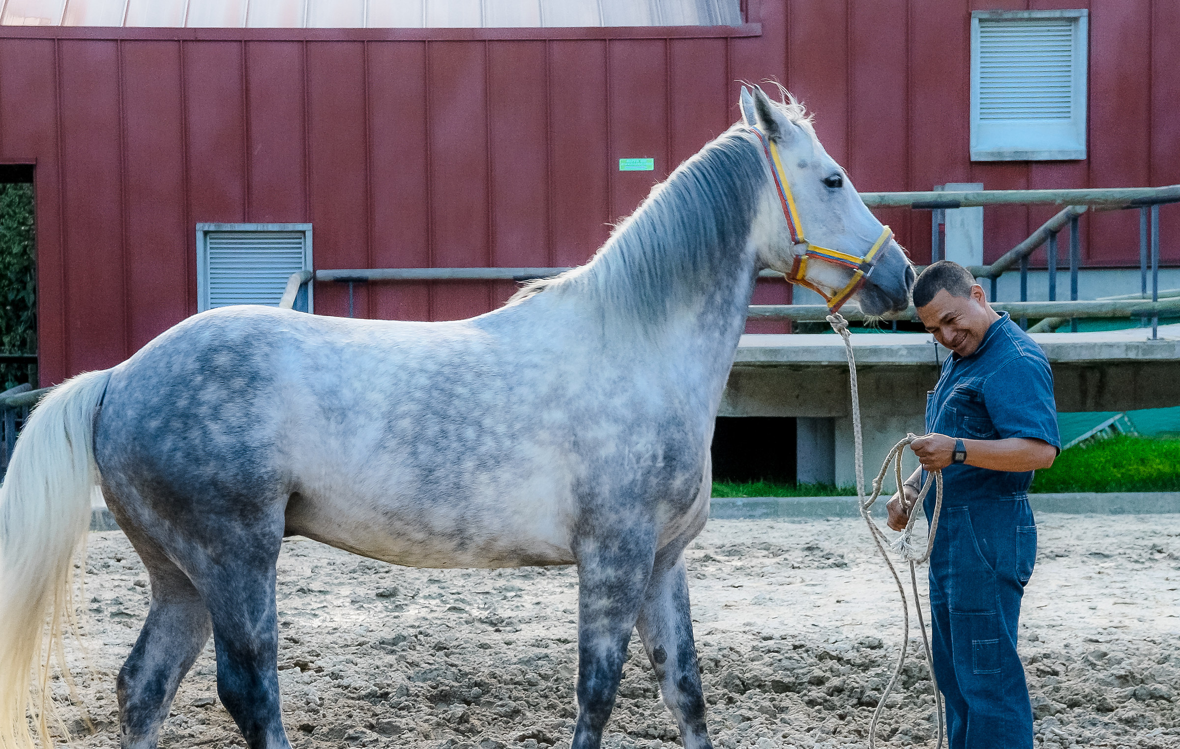 carabinieros a cavallos