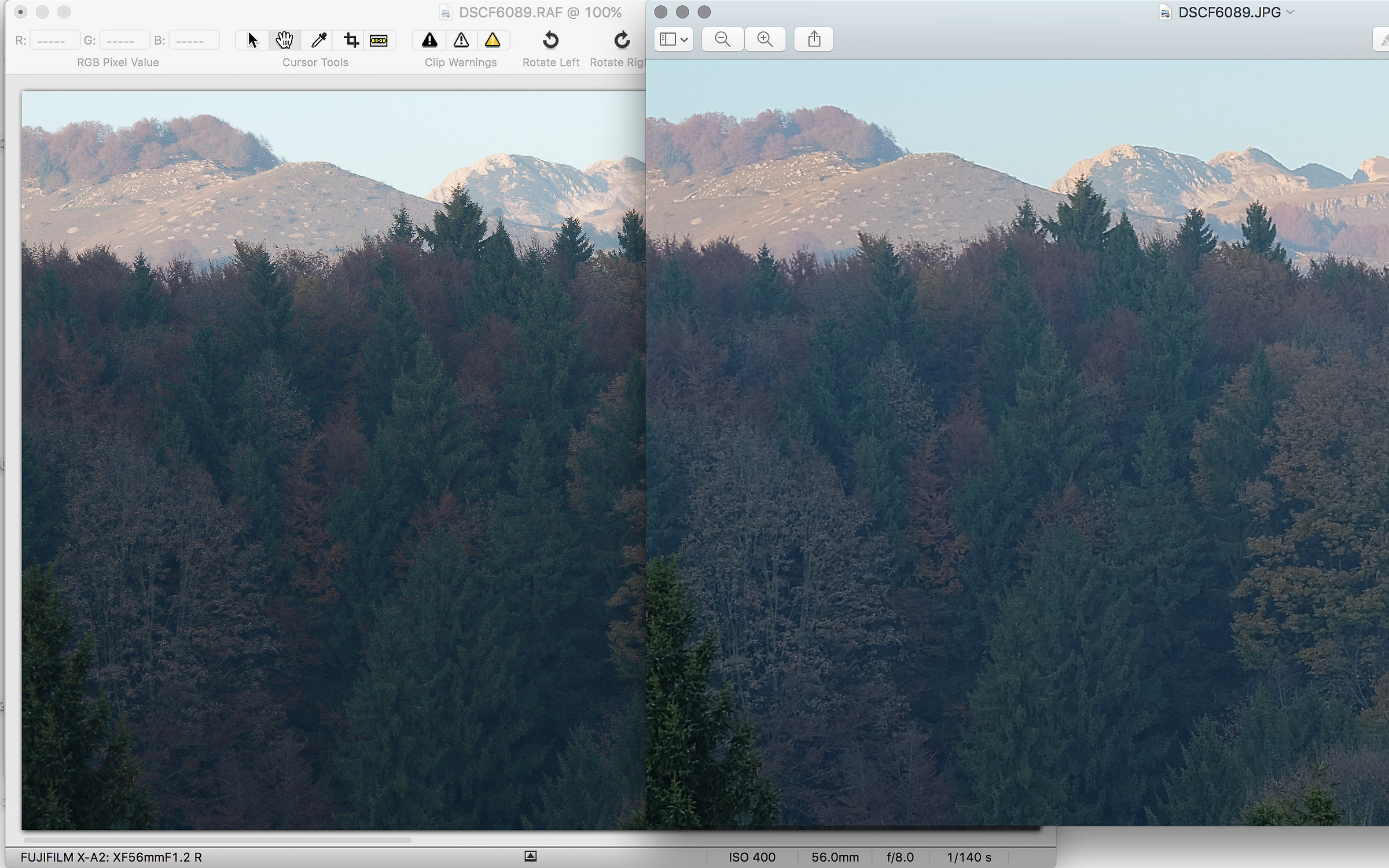 Fuji filtro bayer NO x-trans, jpeg vs iridient 100%crop