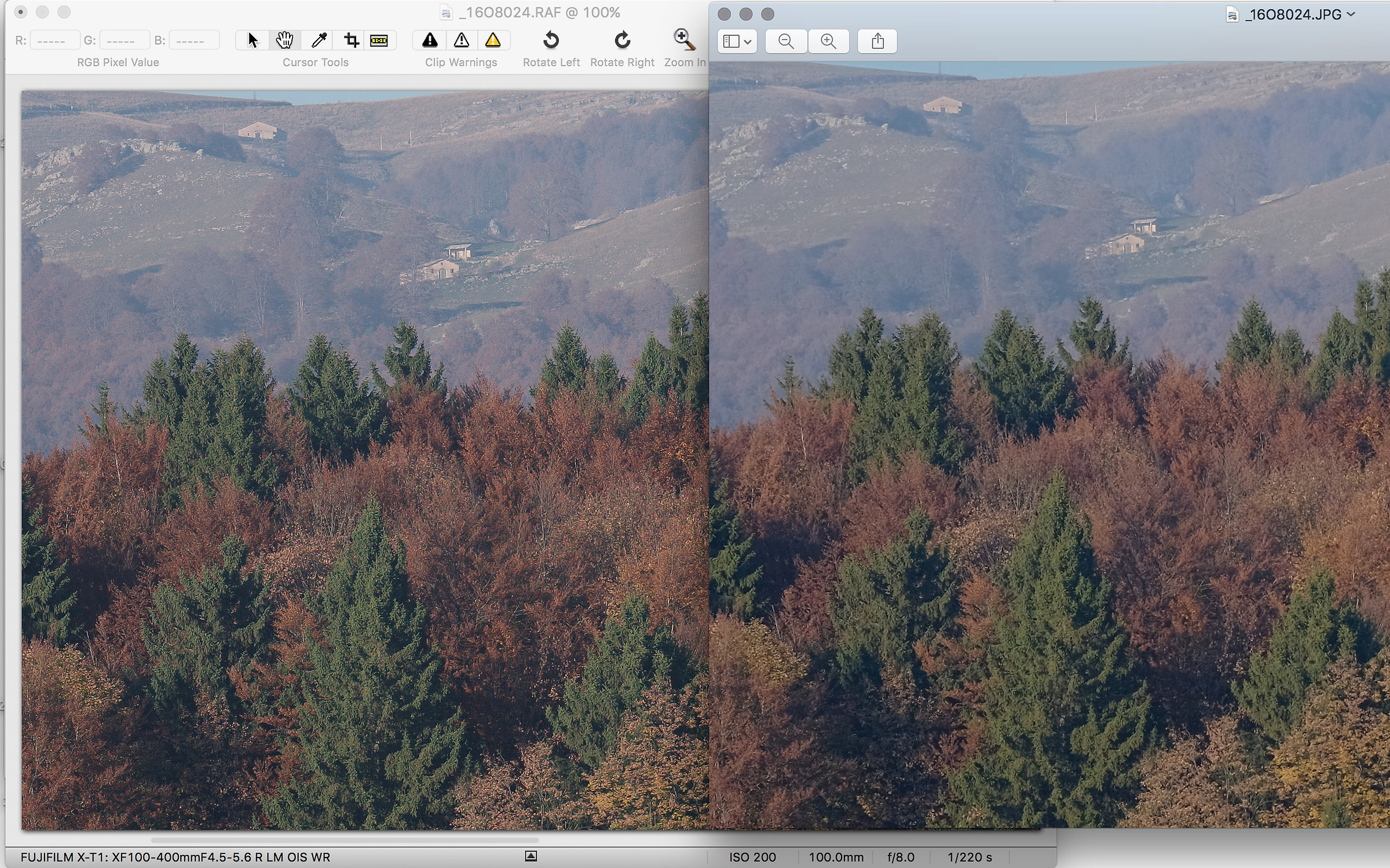 Fuji filtro x-trans, jpeg vs iridient 100% crop