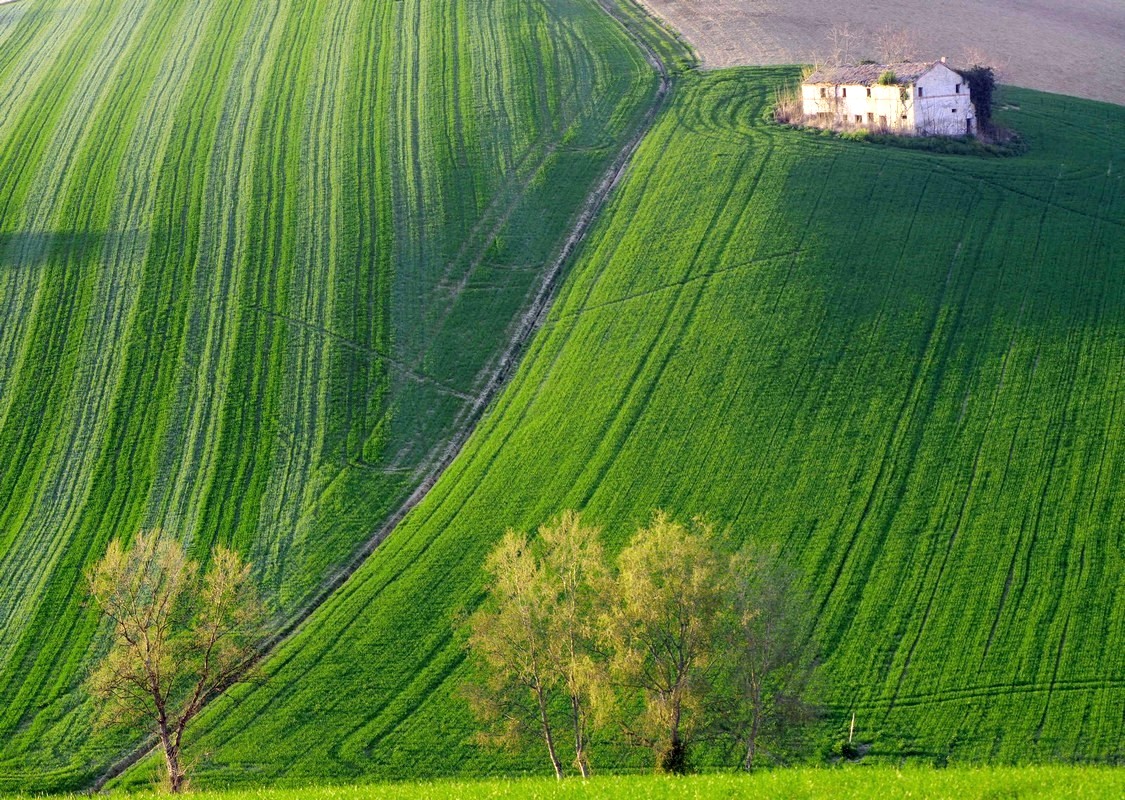 green hills