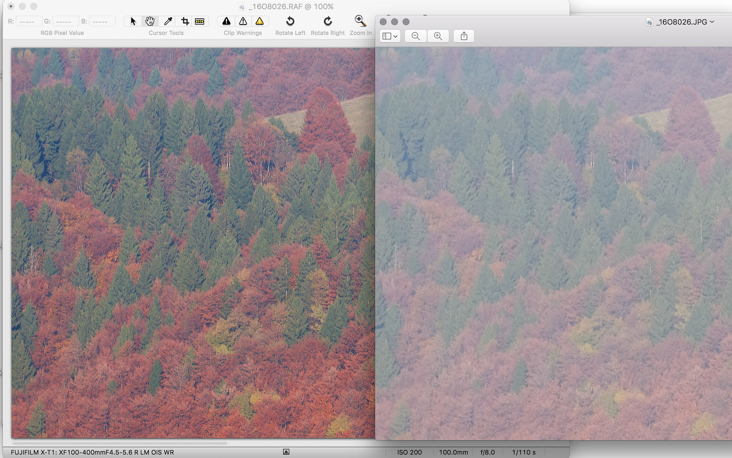 Fuji filtro x-trans, jpeg vs iridient 100% crop