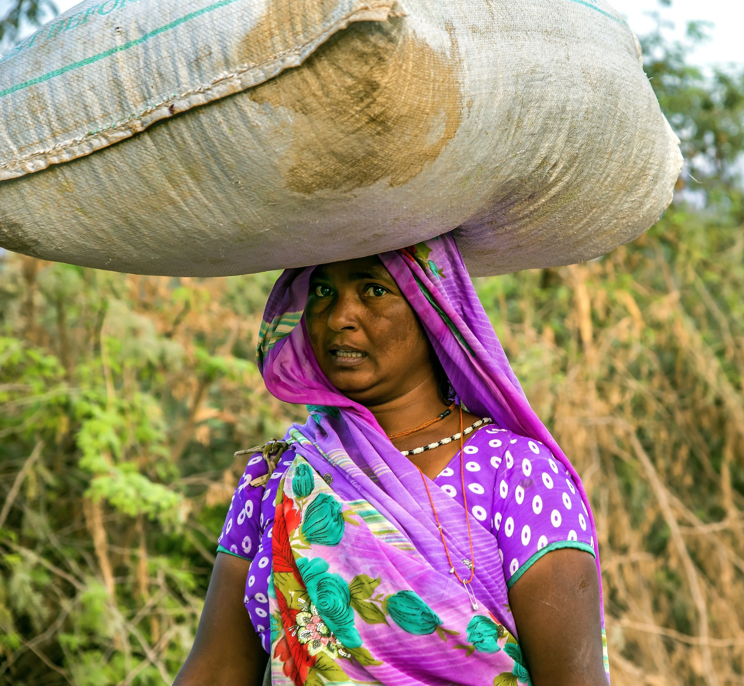 Rajasthan 2017 - In una strada di campagna